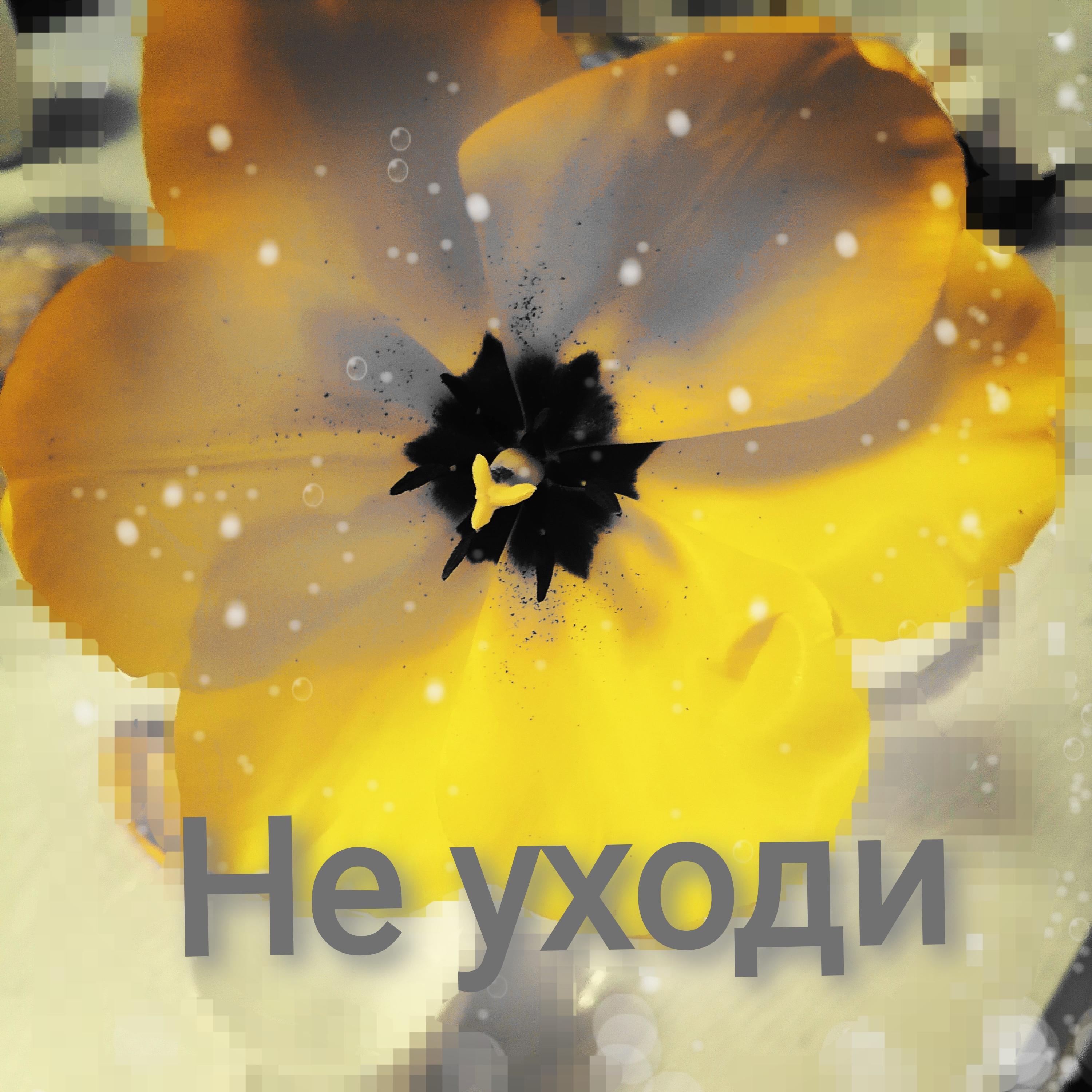 Олеся Светозарова