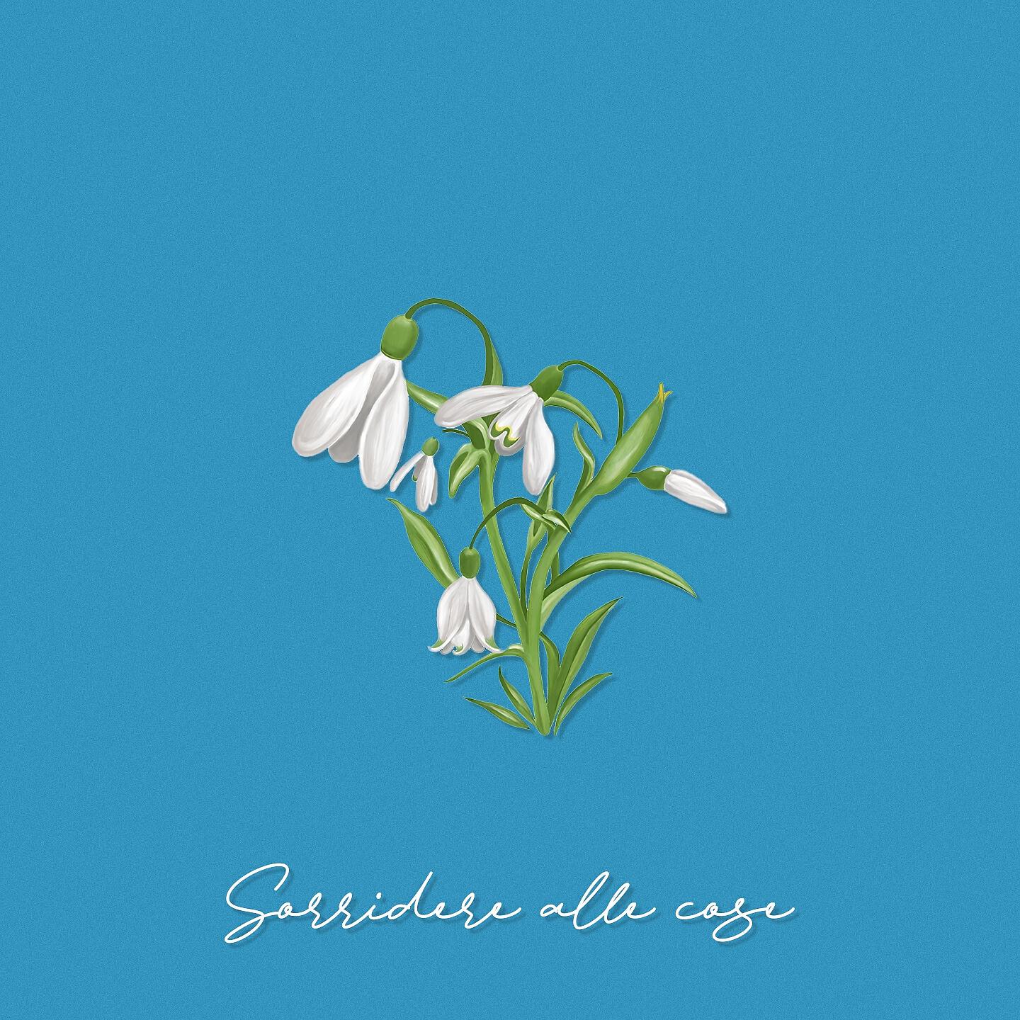 Релиз Sorridere alle cose
