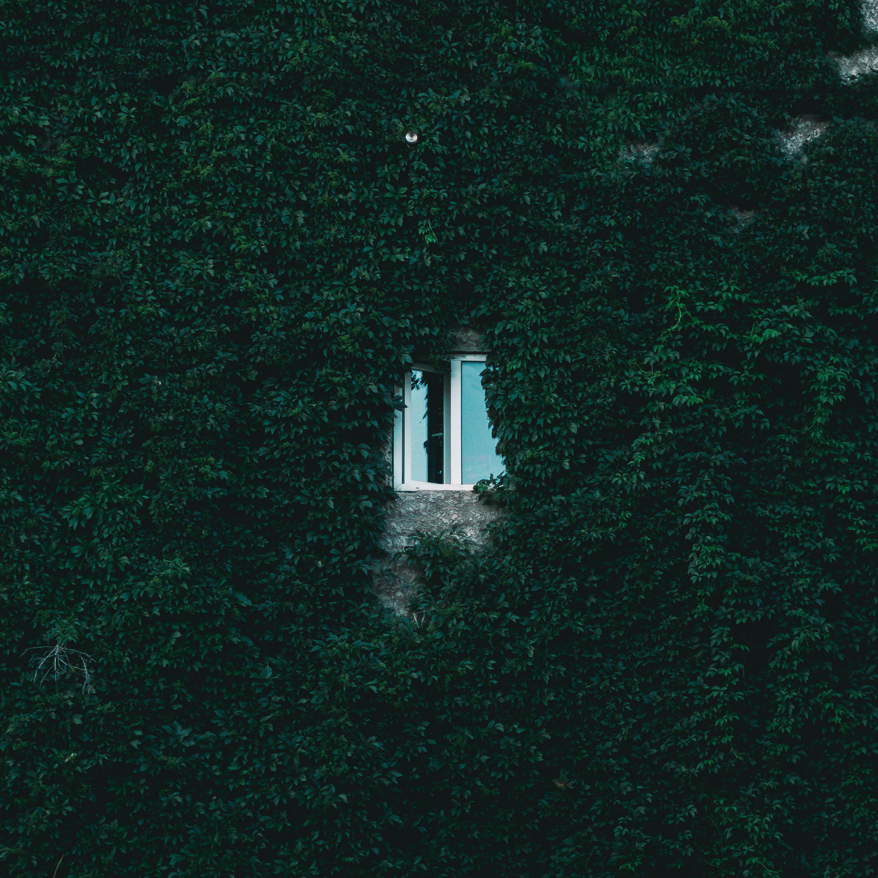 Релиз At Your Will
