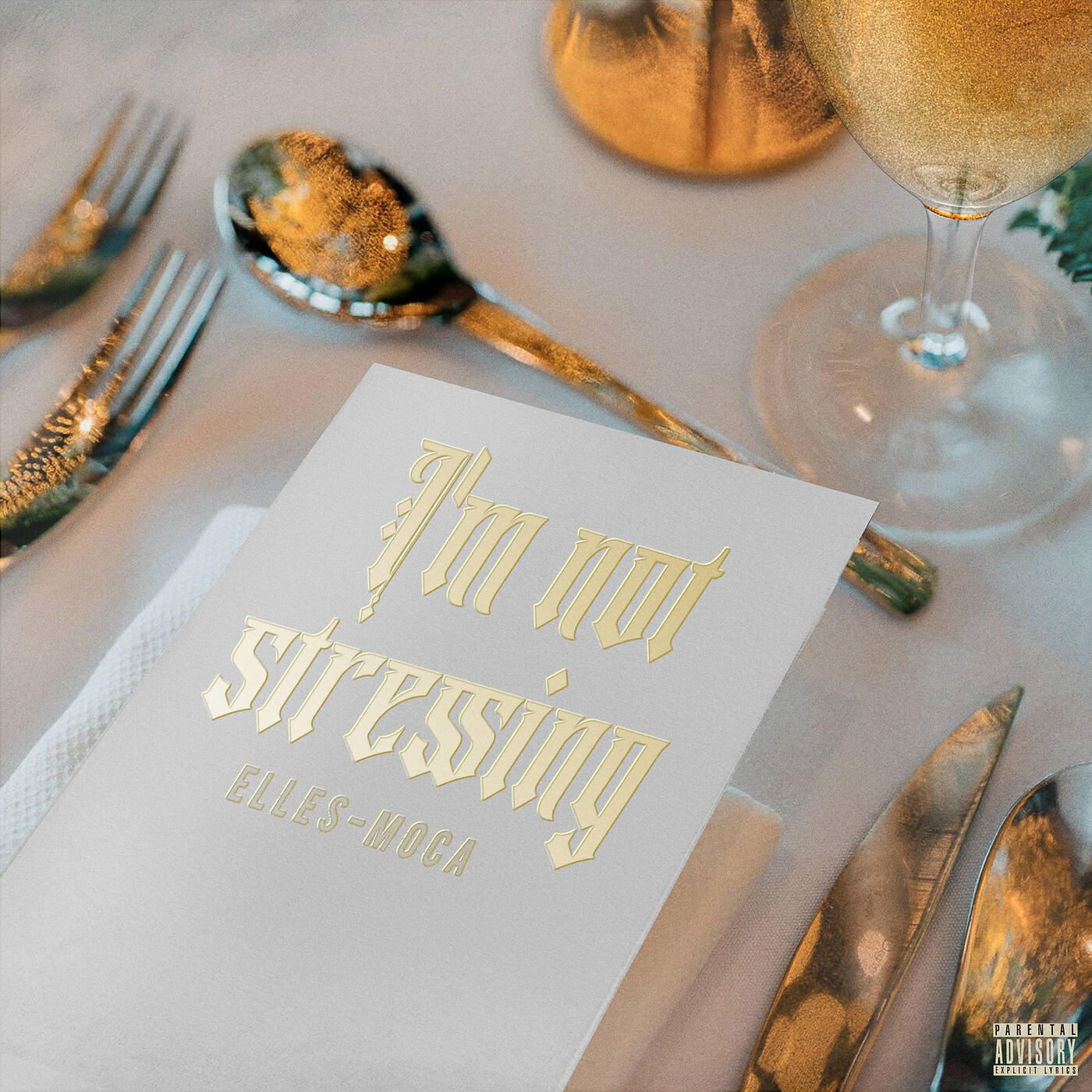 Релиз Im Not Stressing