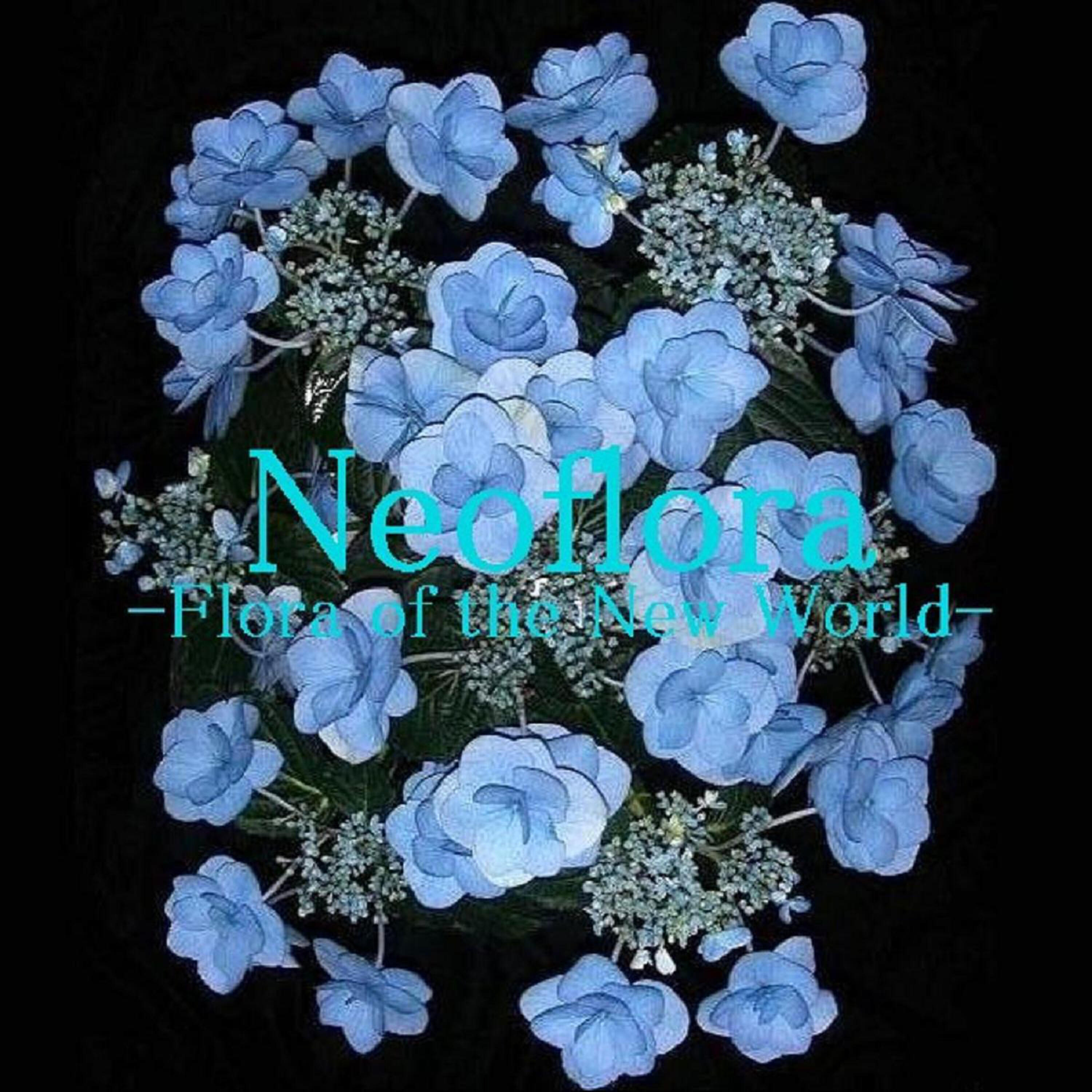 Релиз Flora of the New World