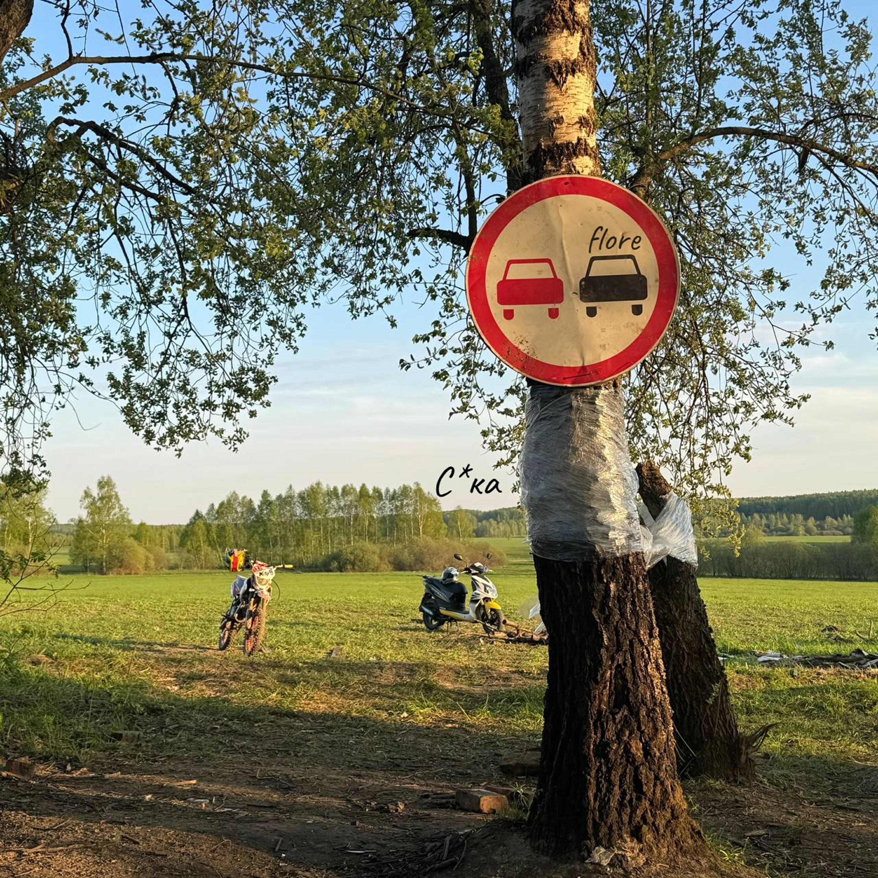 Релиз Сука