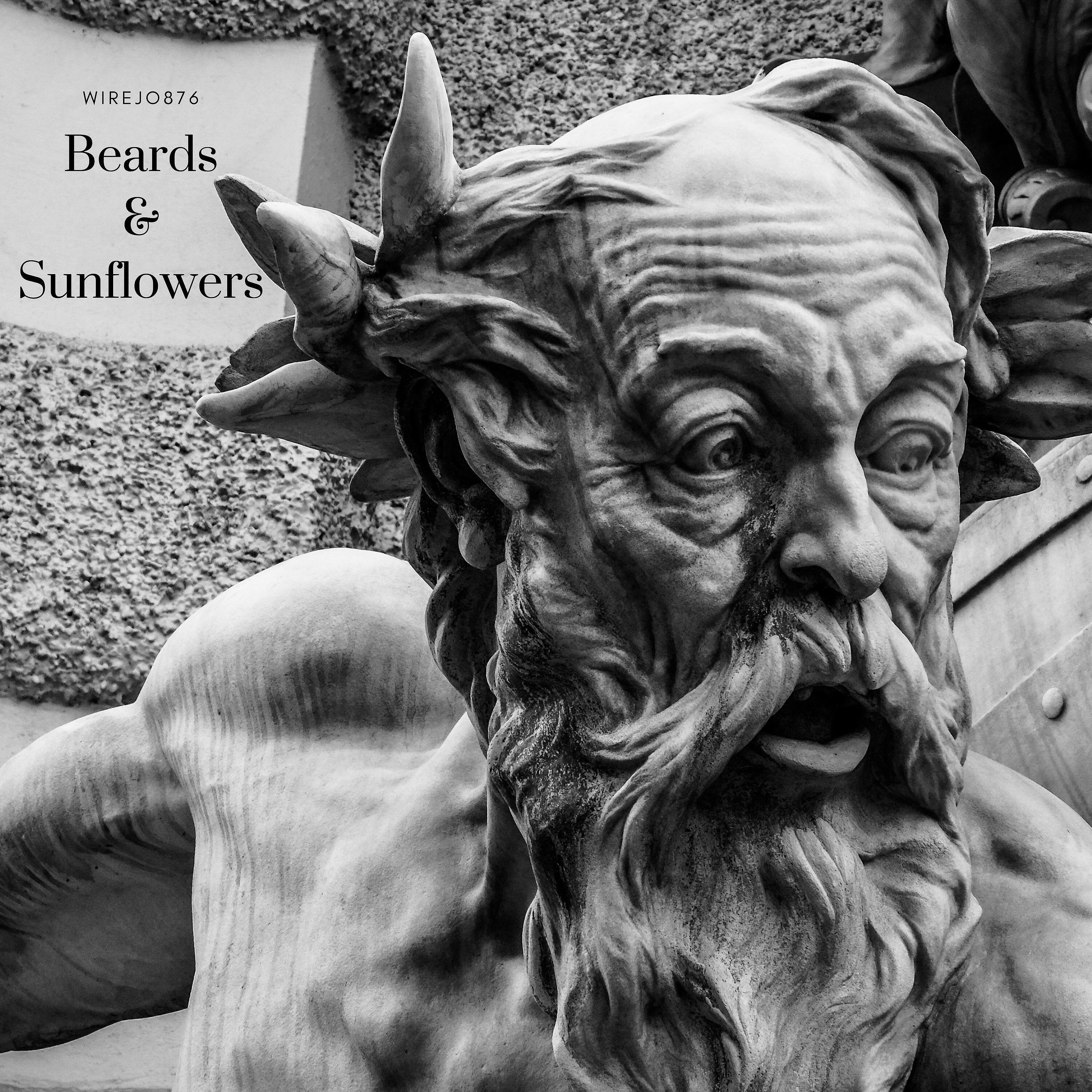 Релиз Beards and Sunflowers