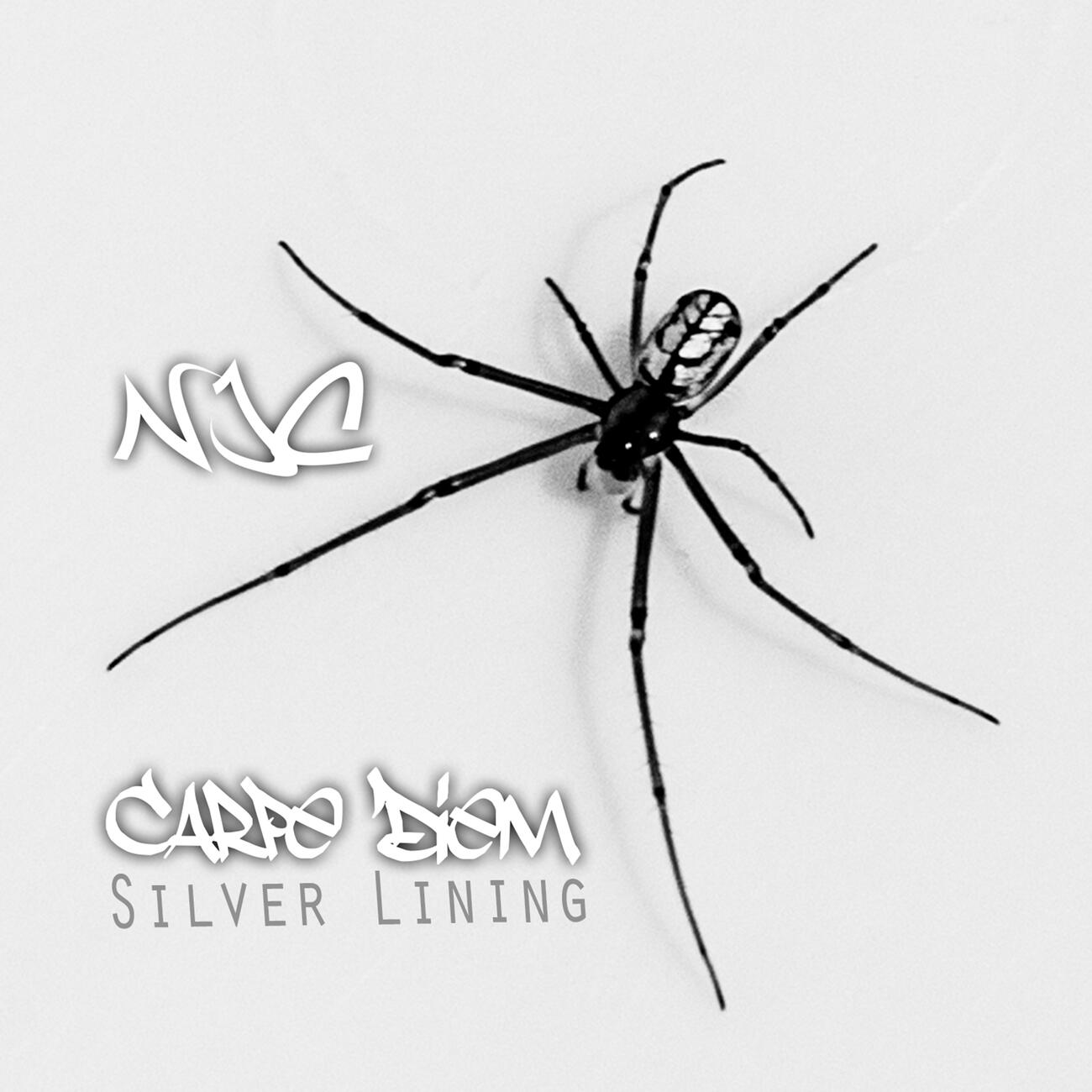 Релиз Carpe Diem Silver Lining