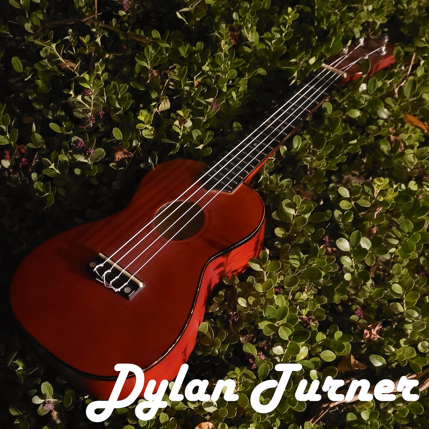 Релиз Dylan Turner