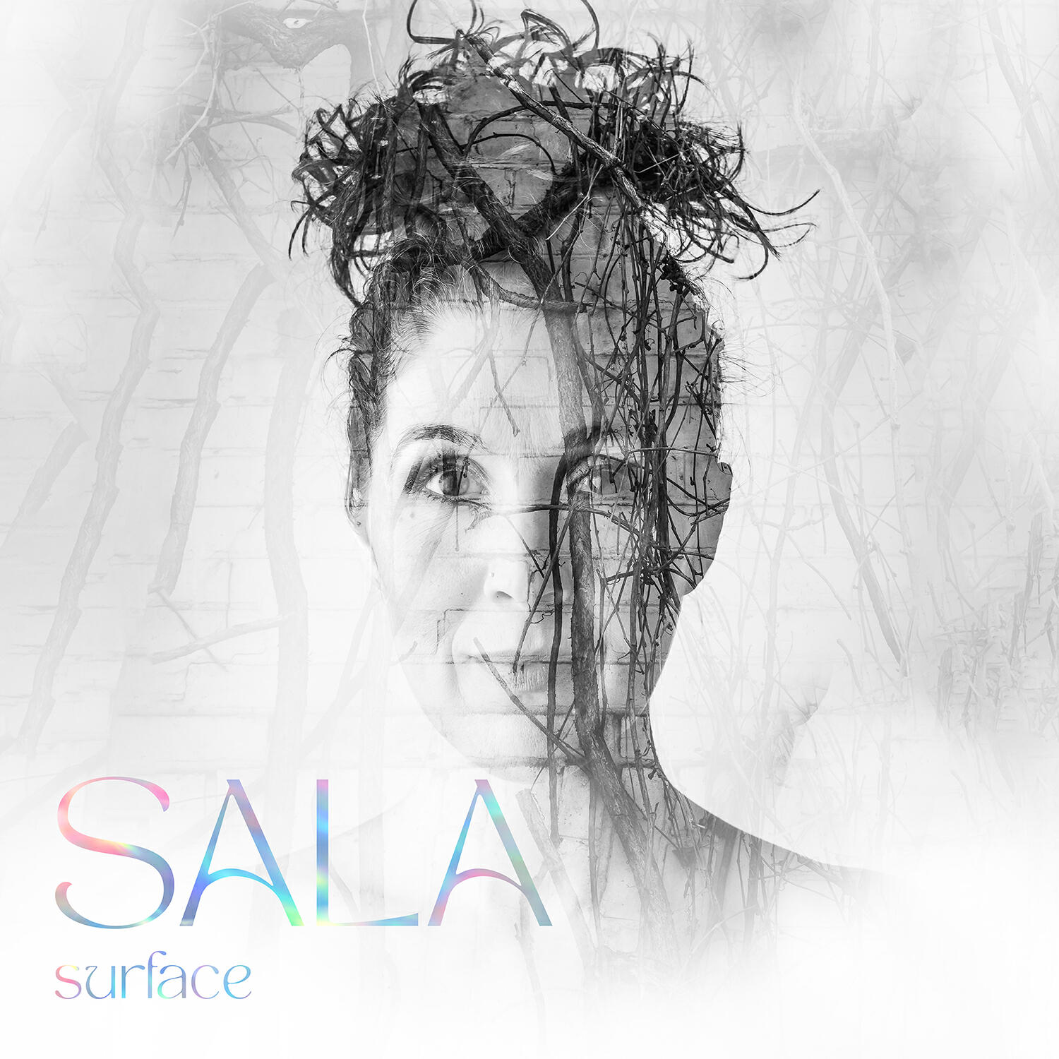 Постер альбома Surface