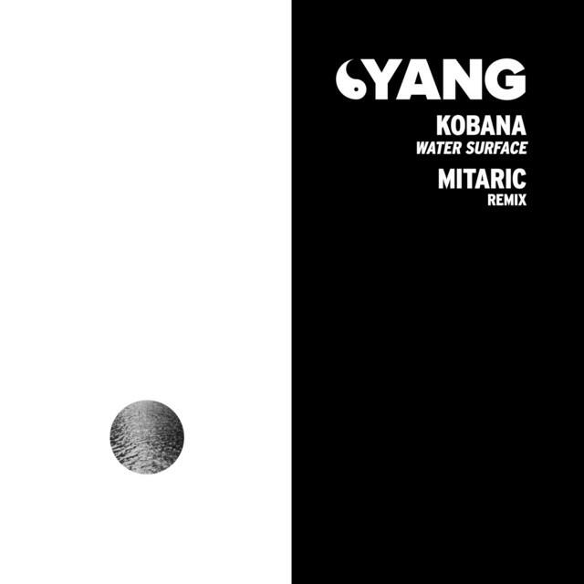 Релиз Water Surface (Mitaric Remix)