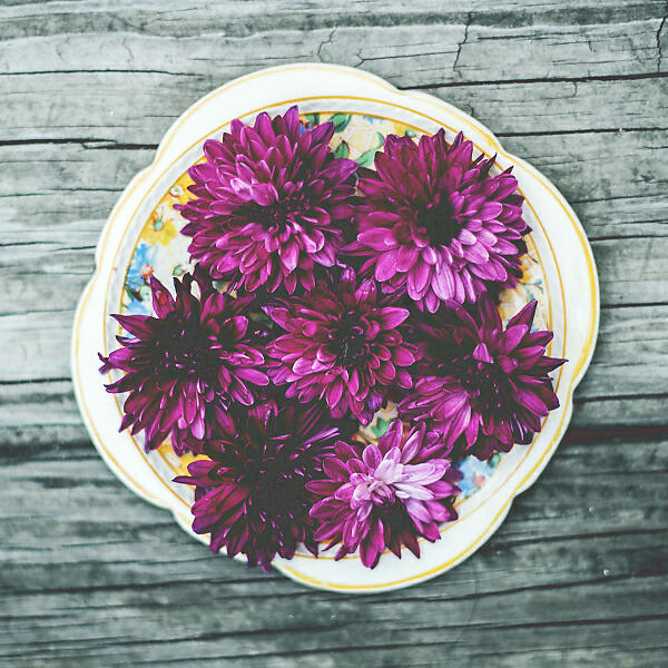 Релиз Spa and Zen Collection