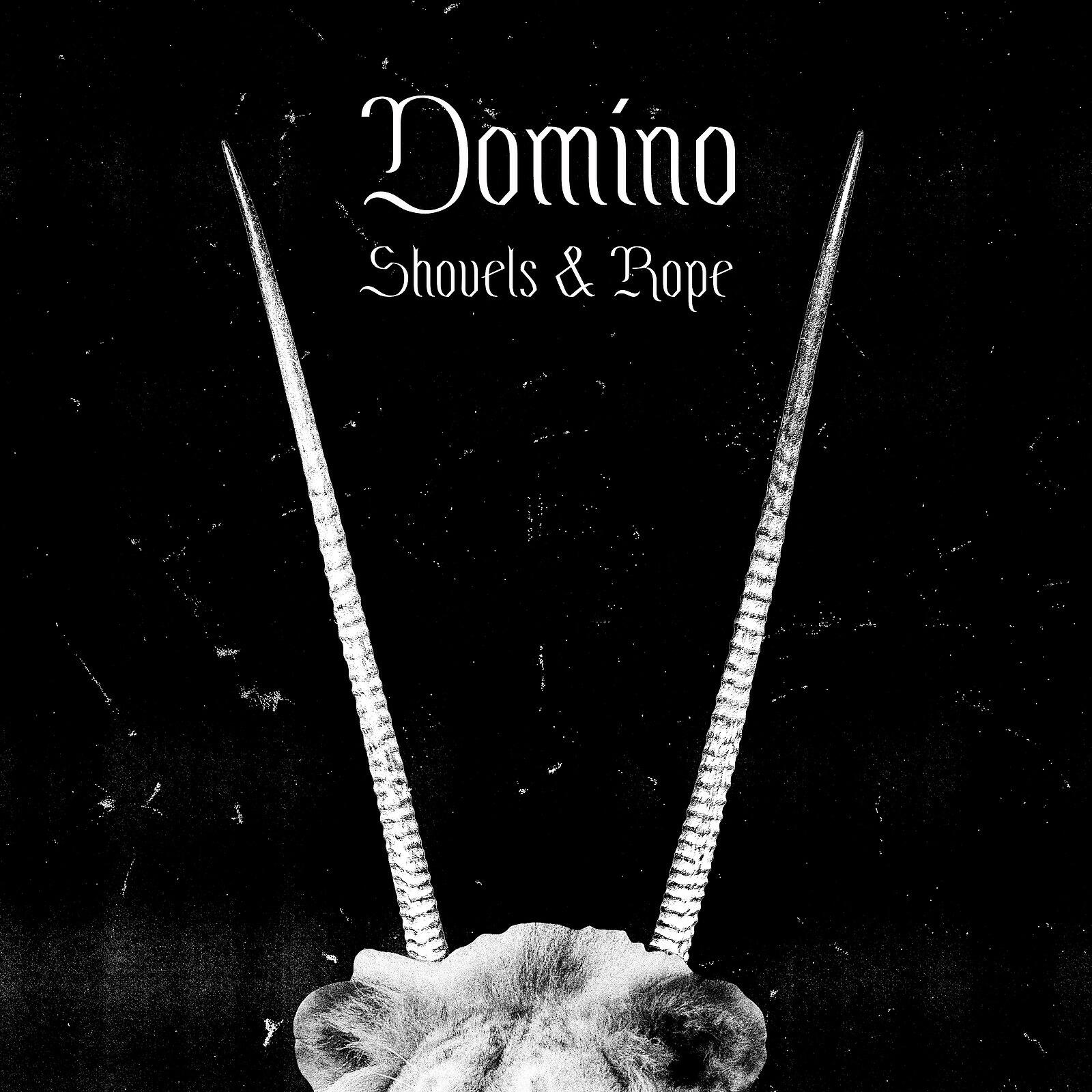 Постер альбома Domino