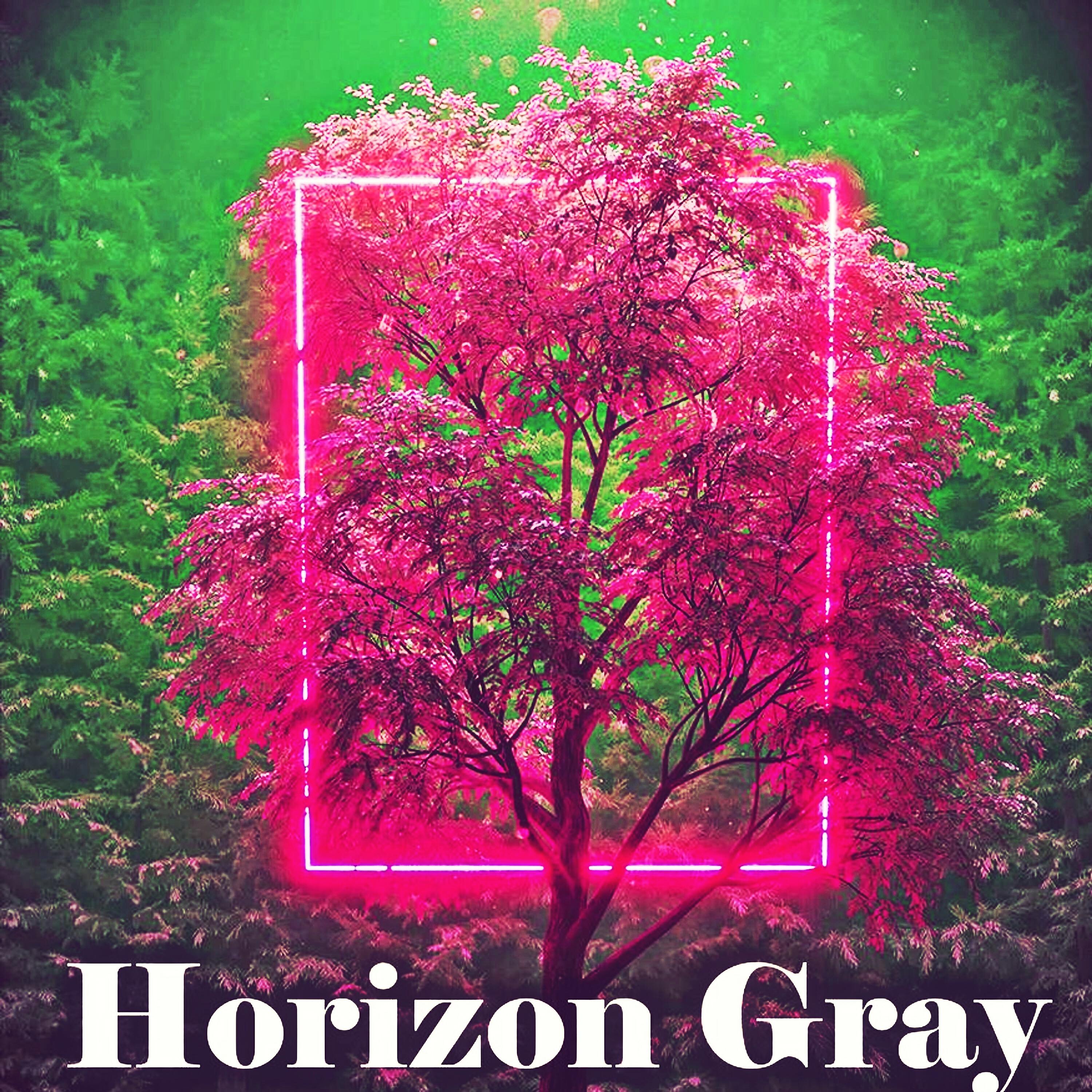 Релиз Horizon Gray