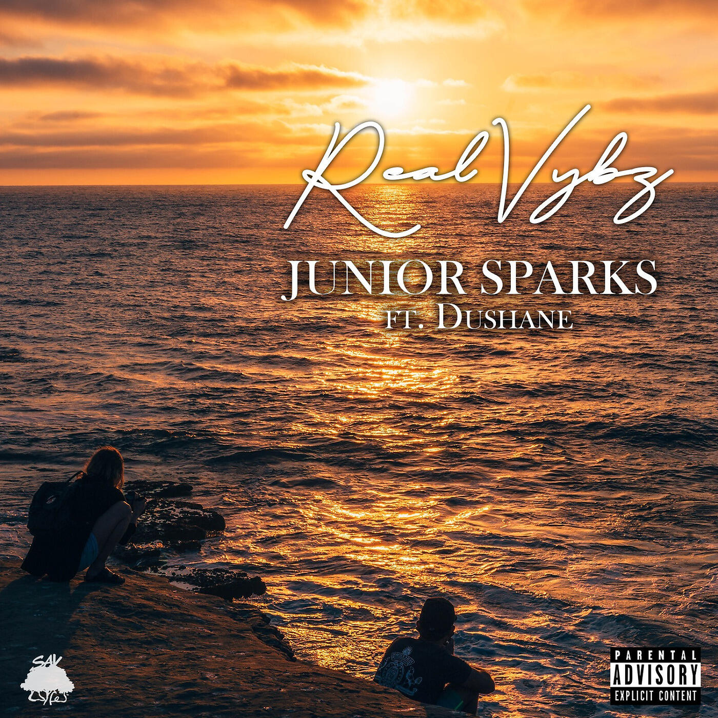 Релиз Real Vybz
