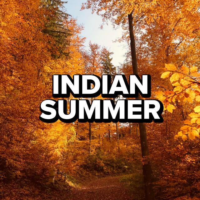 Релиз Indian Summer