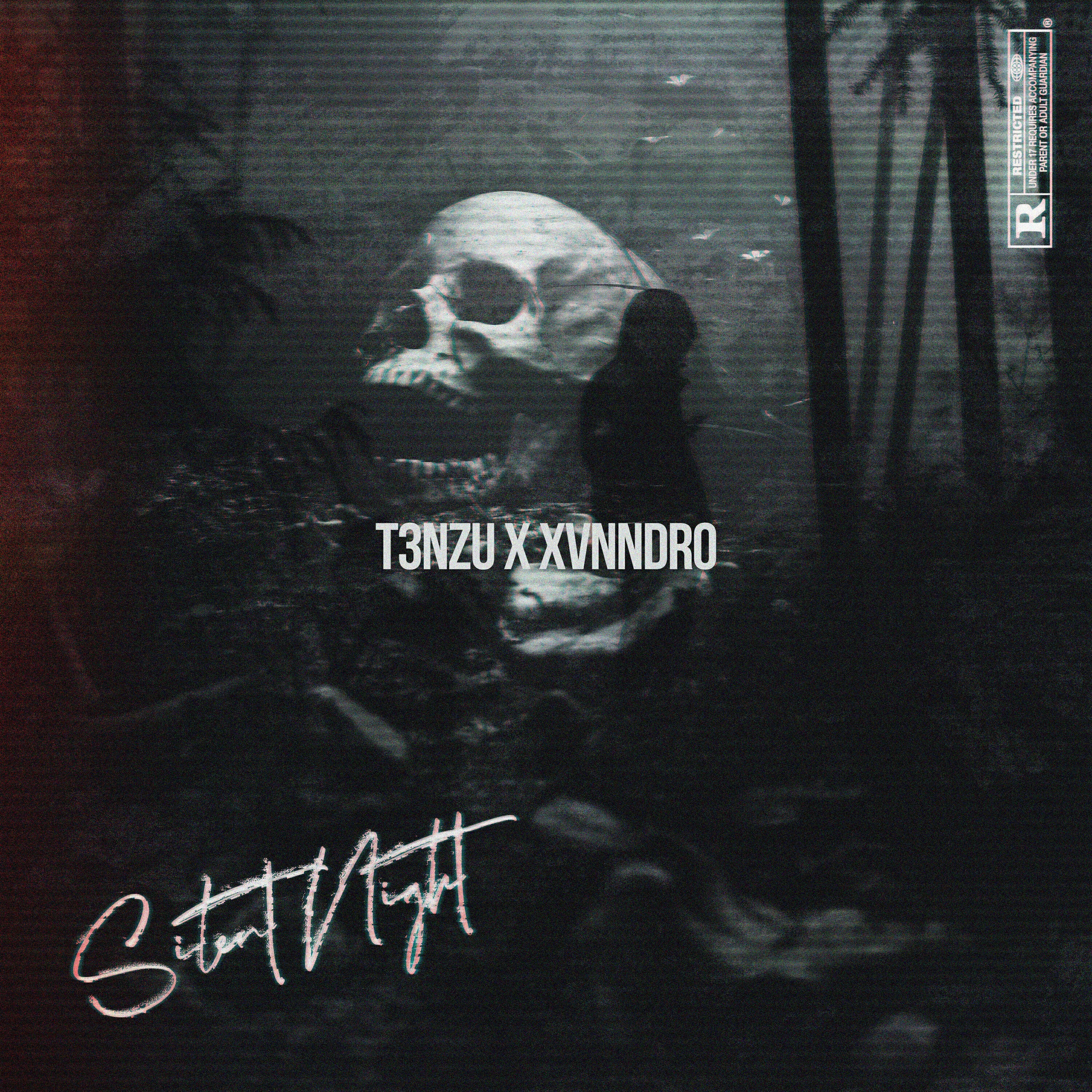 Релиз SILENT NIGHT