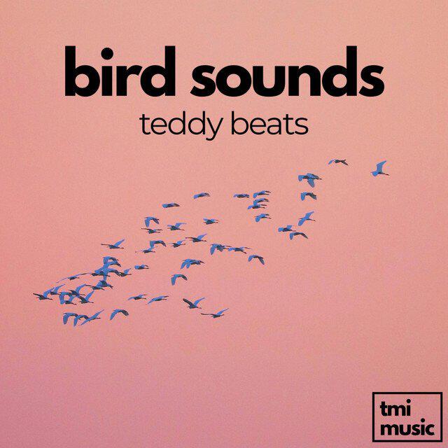Релиз Bird Sounds