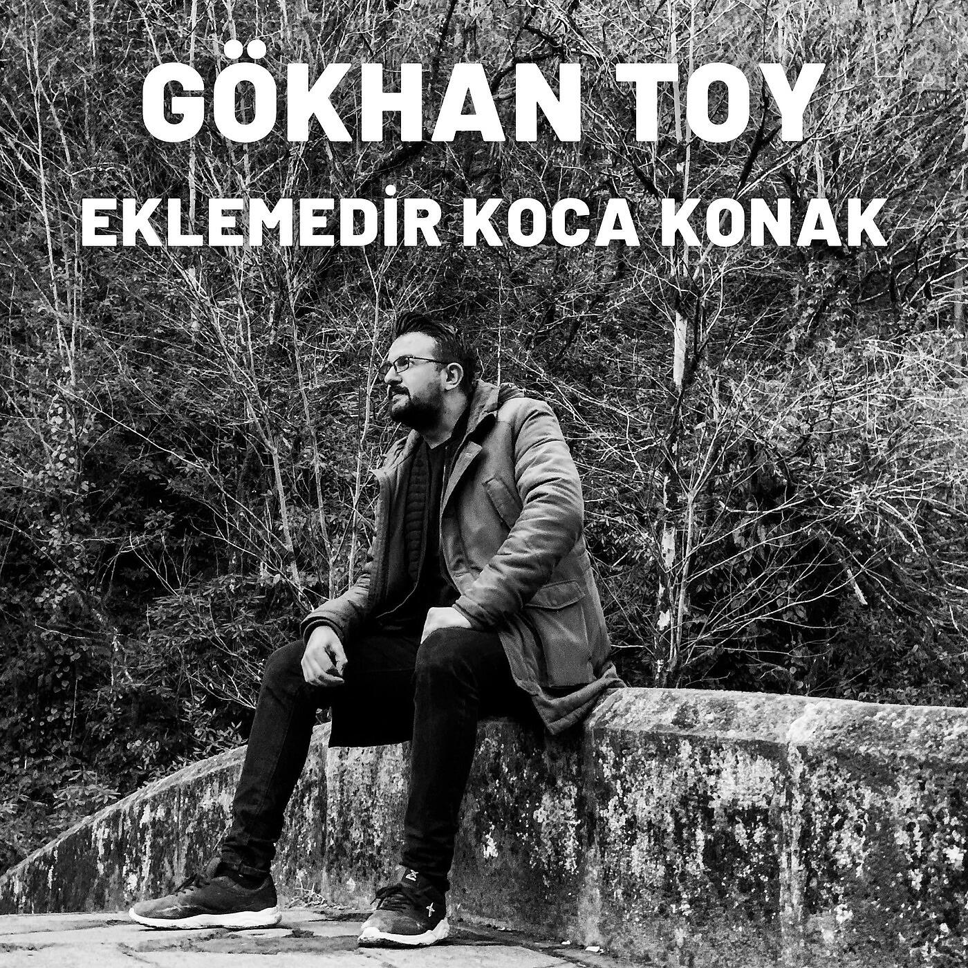 Gökhan Toy