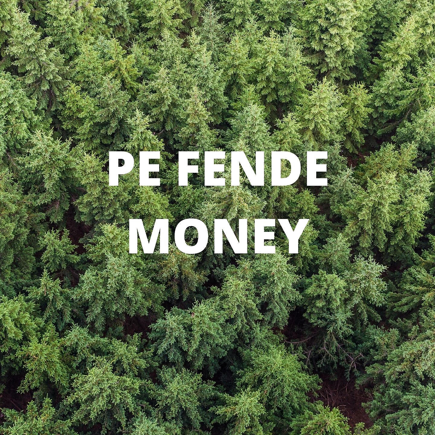 Релиз MONEY