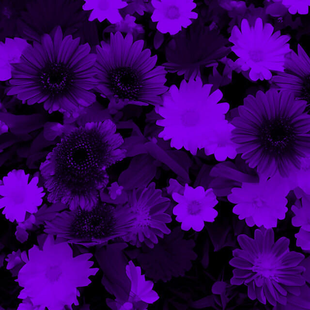 Релиз Dark Beach - slowed