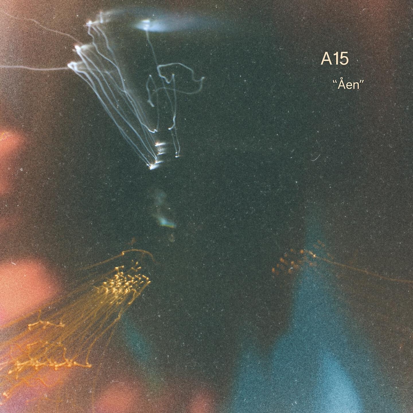 Релиз Åen