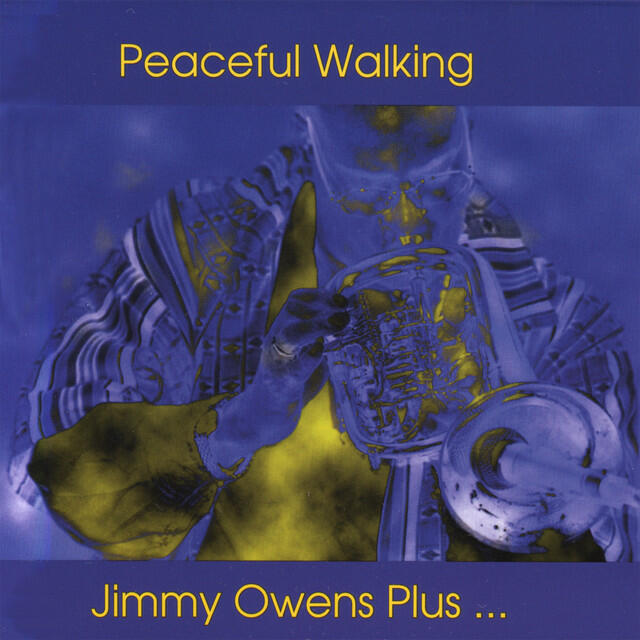 Релиз Peaceful Walking