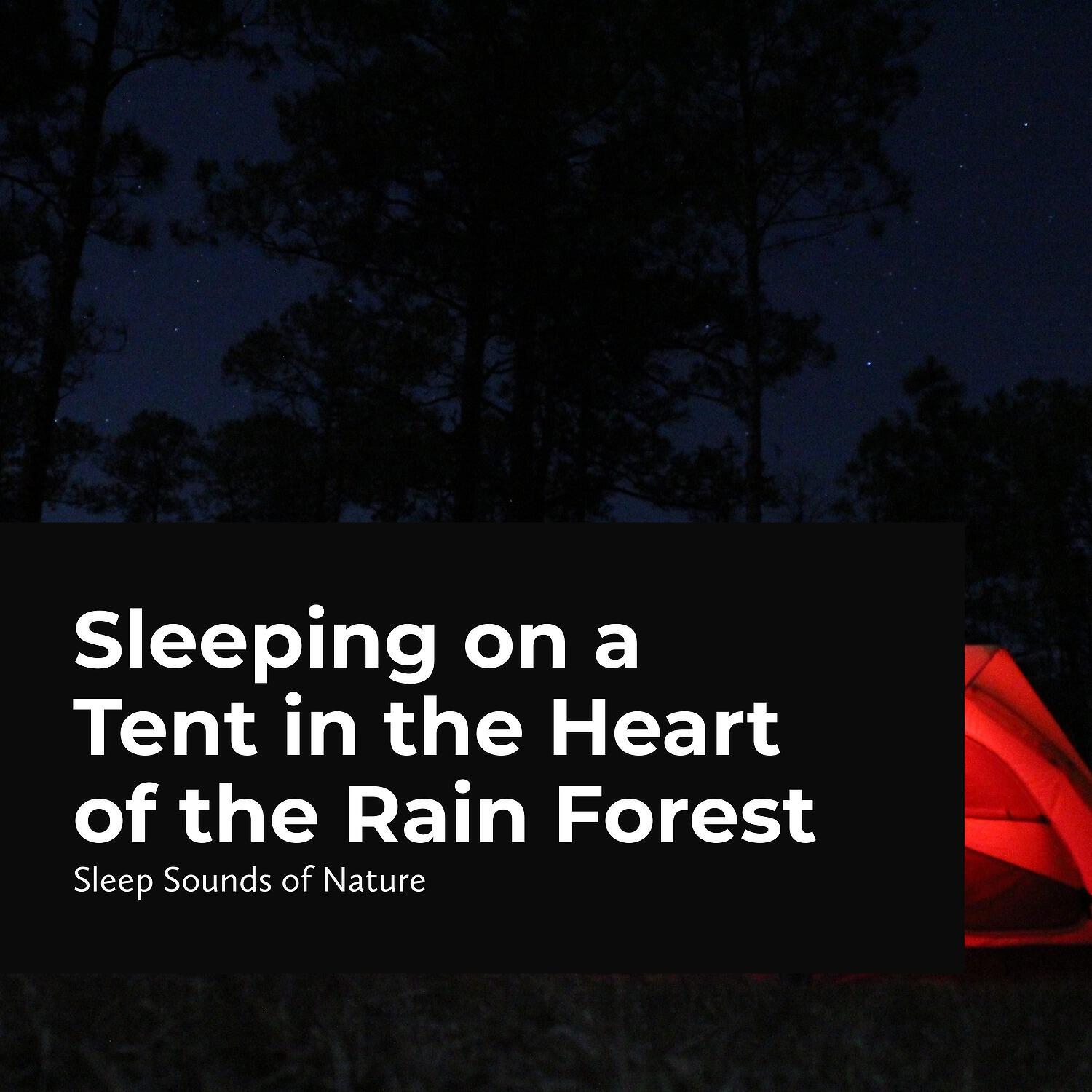 Релиз Sleeping on a Tent in the Heart of the Rain Forest
