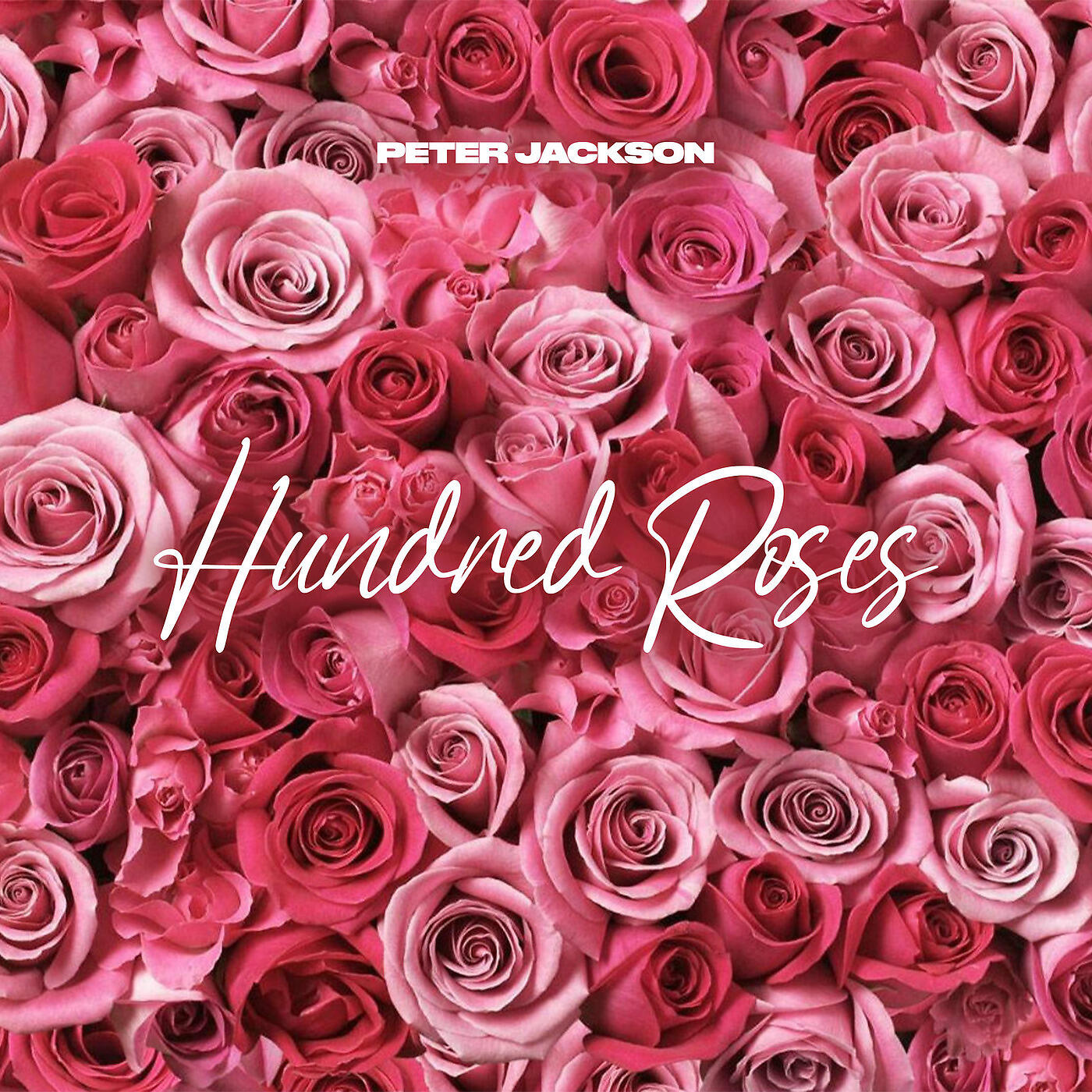 Релиз Hundred Roses