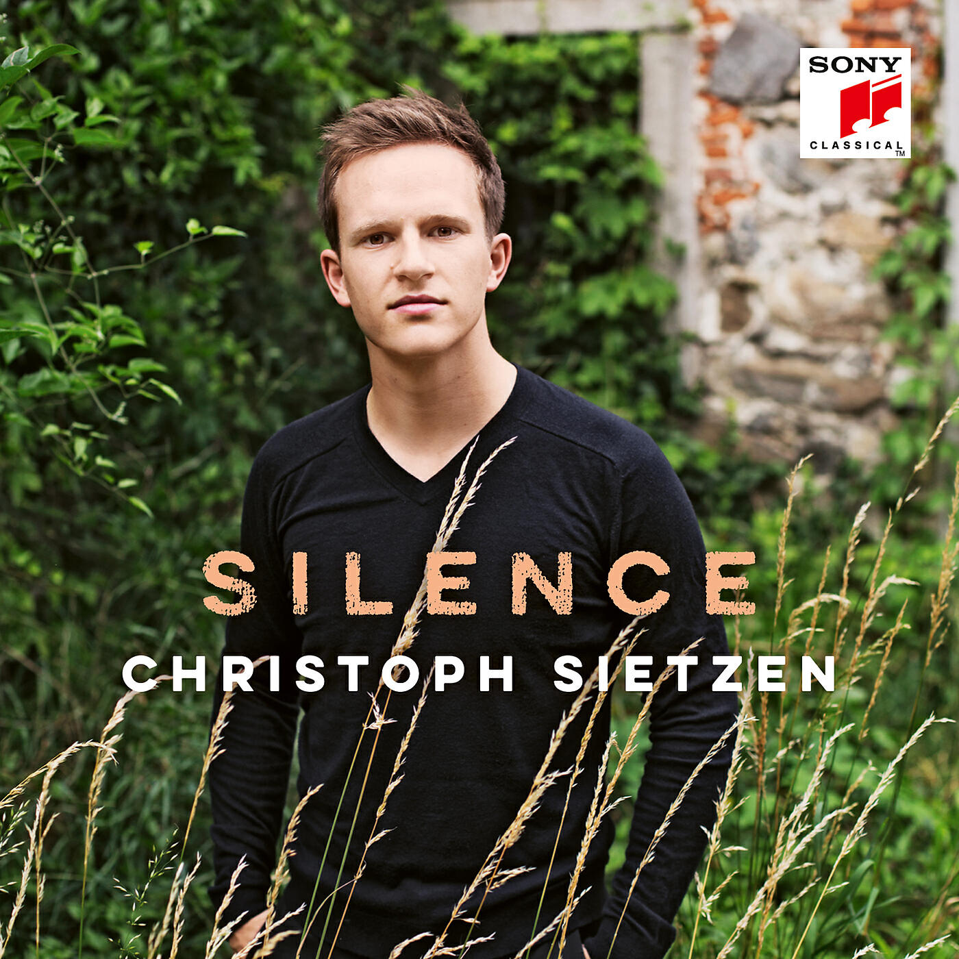 Релиз Silence