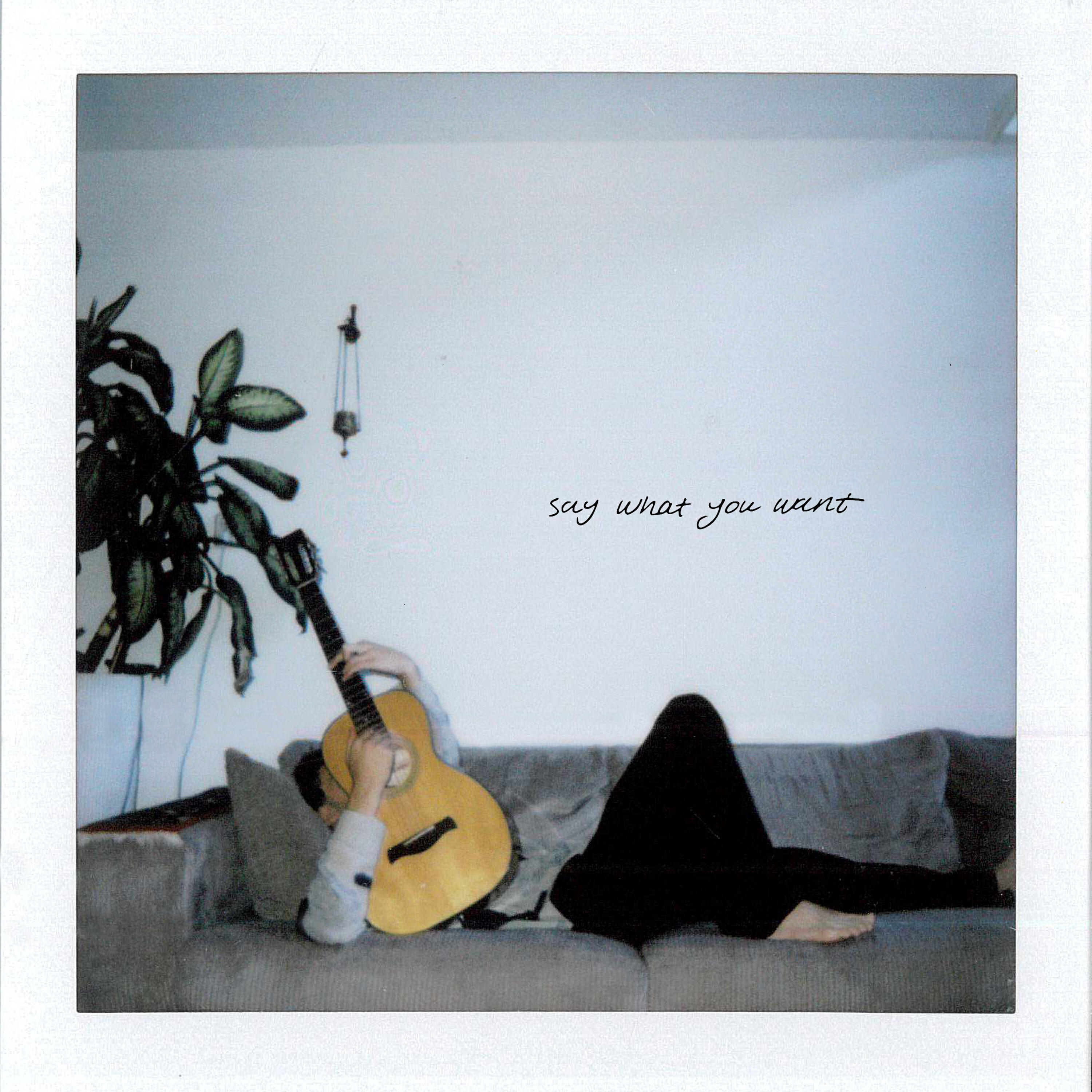 Релиз Say What You Want