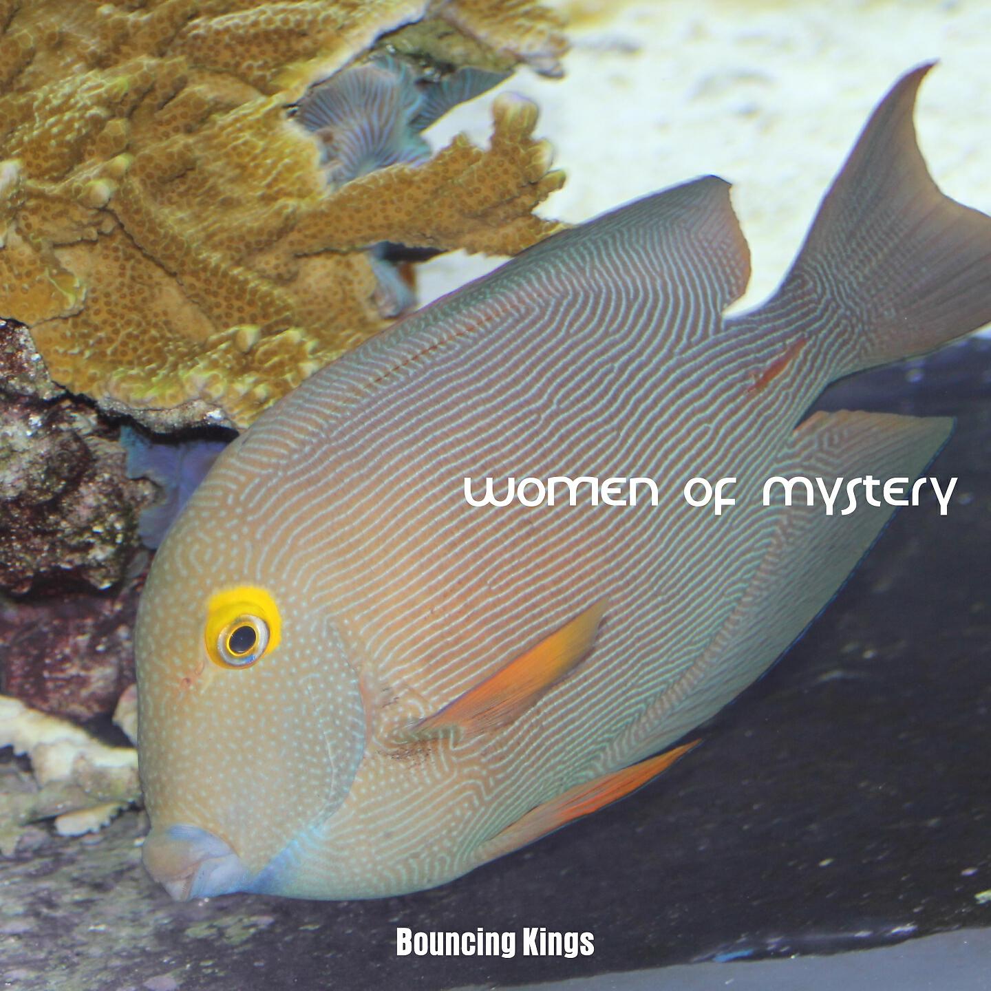 Постер альбома Women Of Mystery