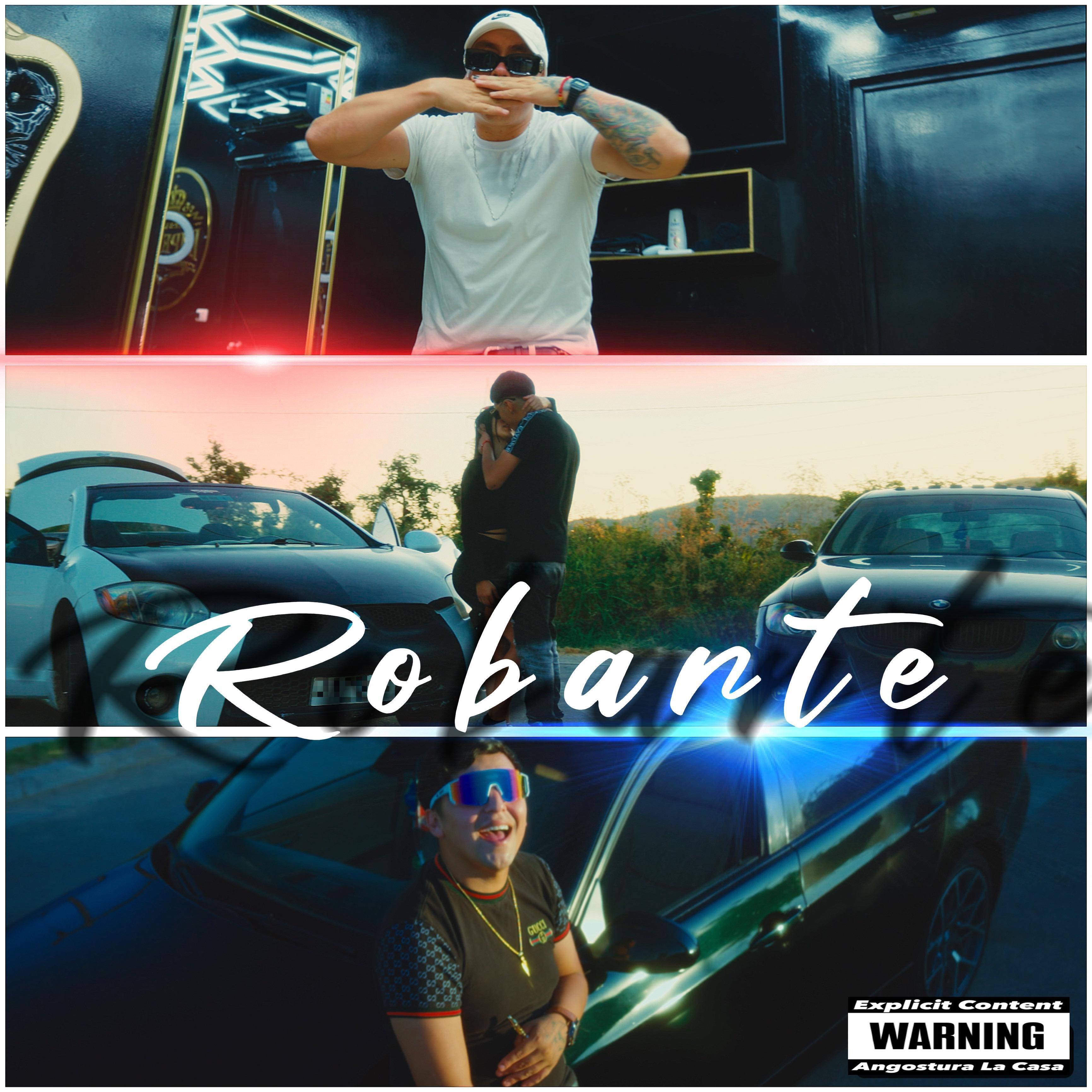 Релиз Robarte