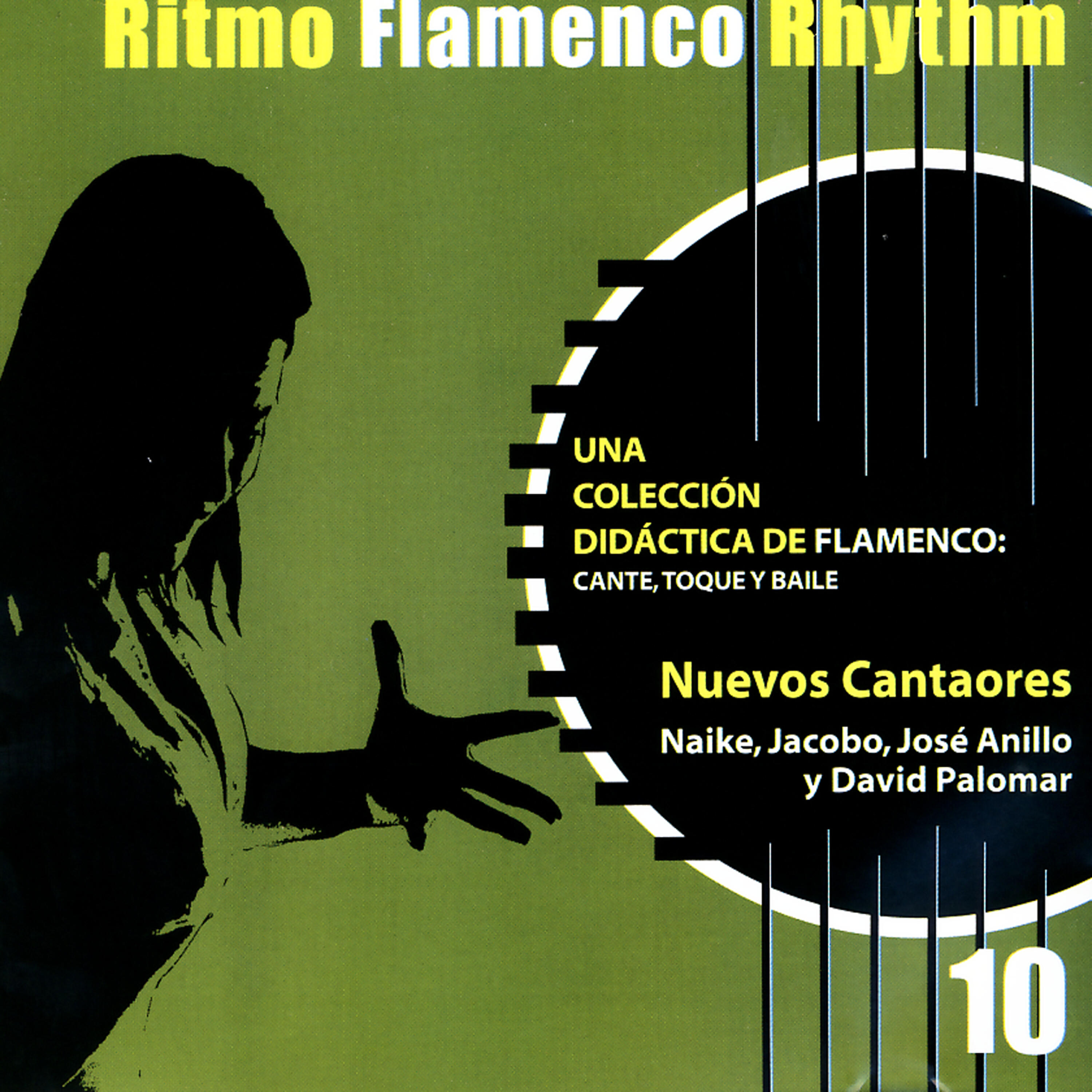 Релиз Ritmo Flamenco Rhythm 10: Nuevos Cantaores