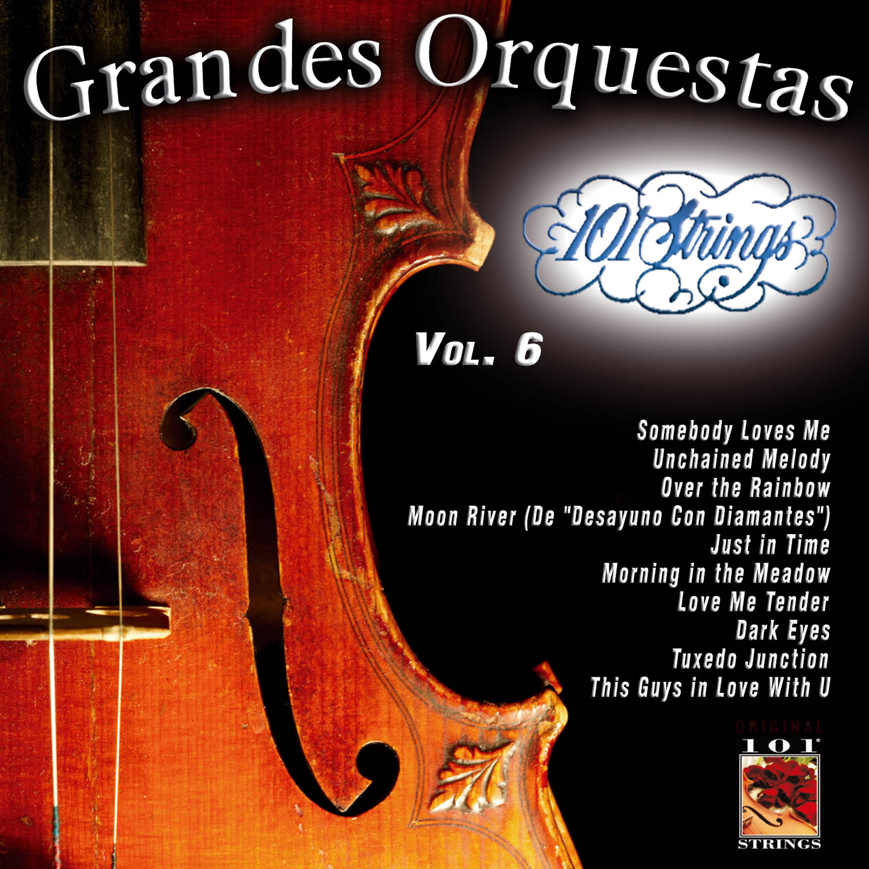 Релиз 101 Strings Grandes Orquestas Vol. 6