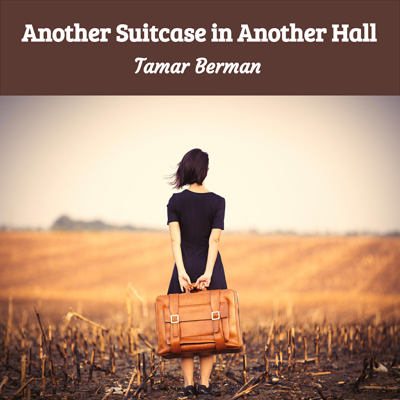 Релиз Another Suitcase in Another Hall