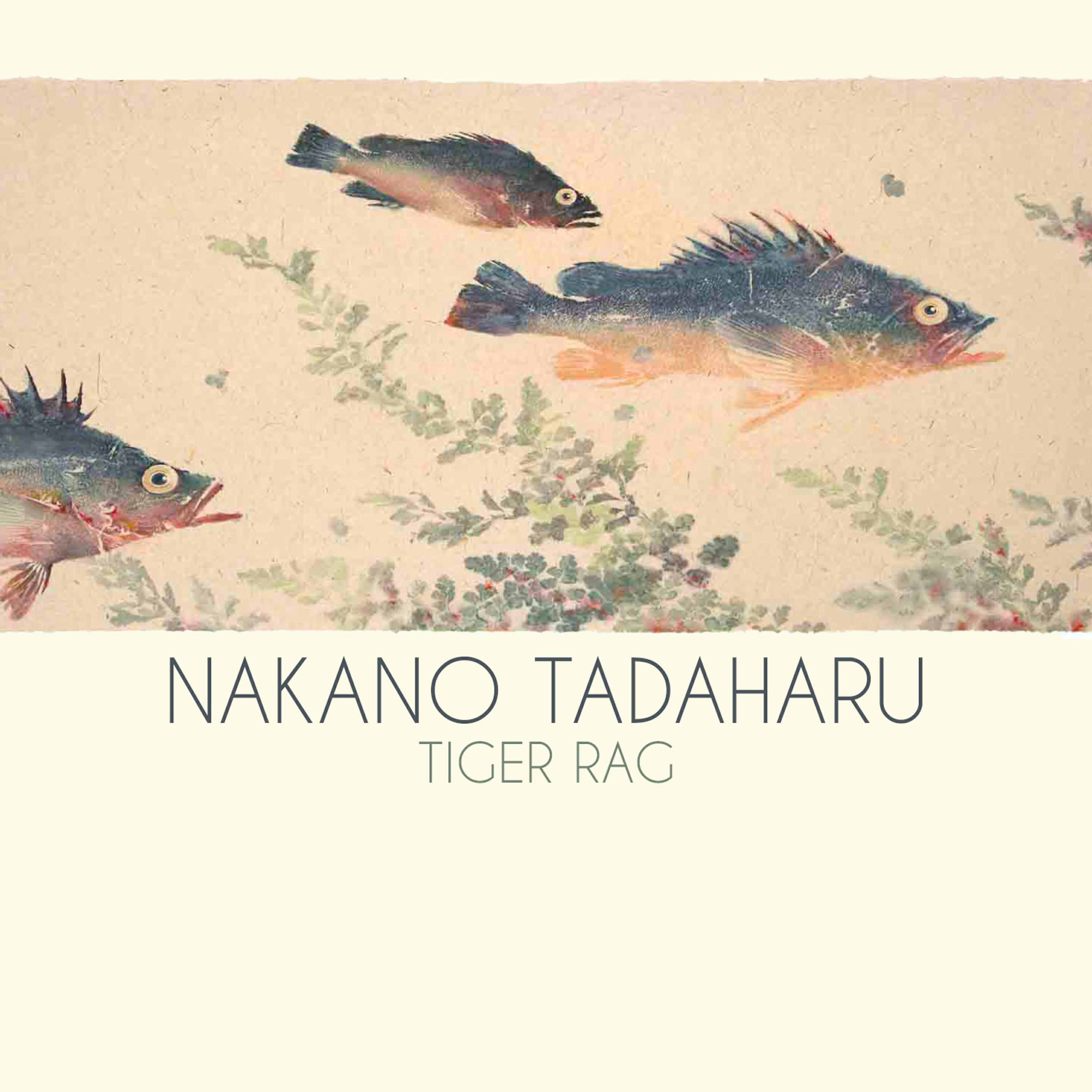 Релиз Tiger Rag