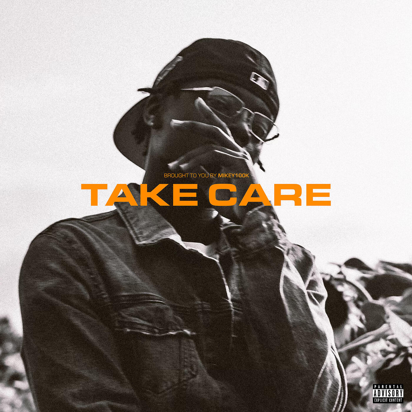 Релиз Take Care