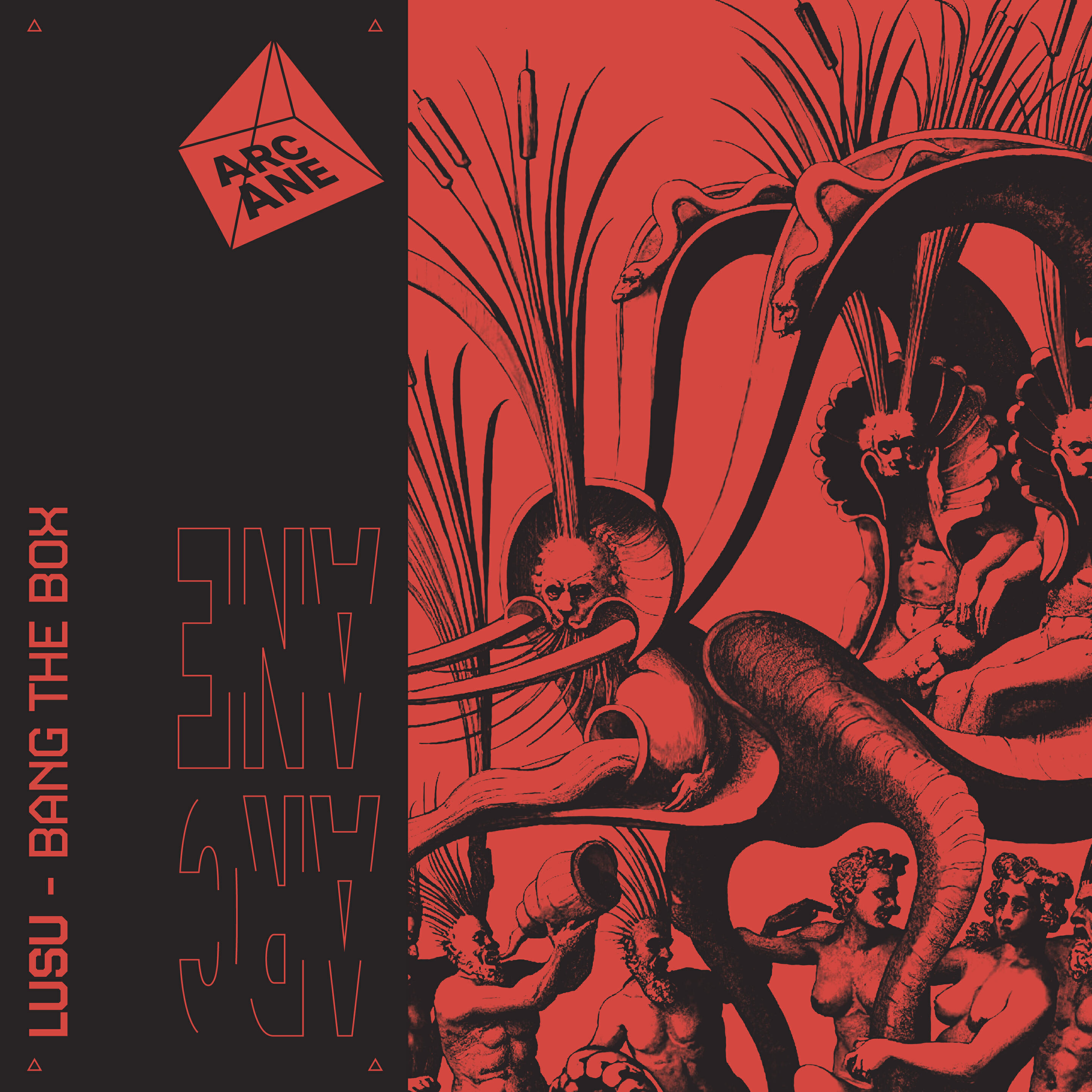 Релиз Bang The Box