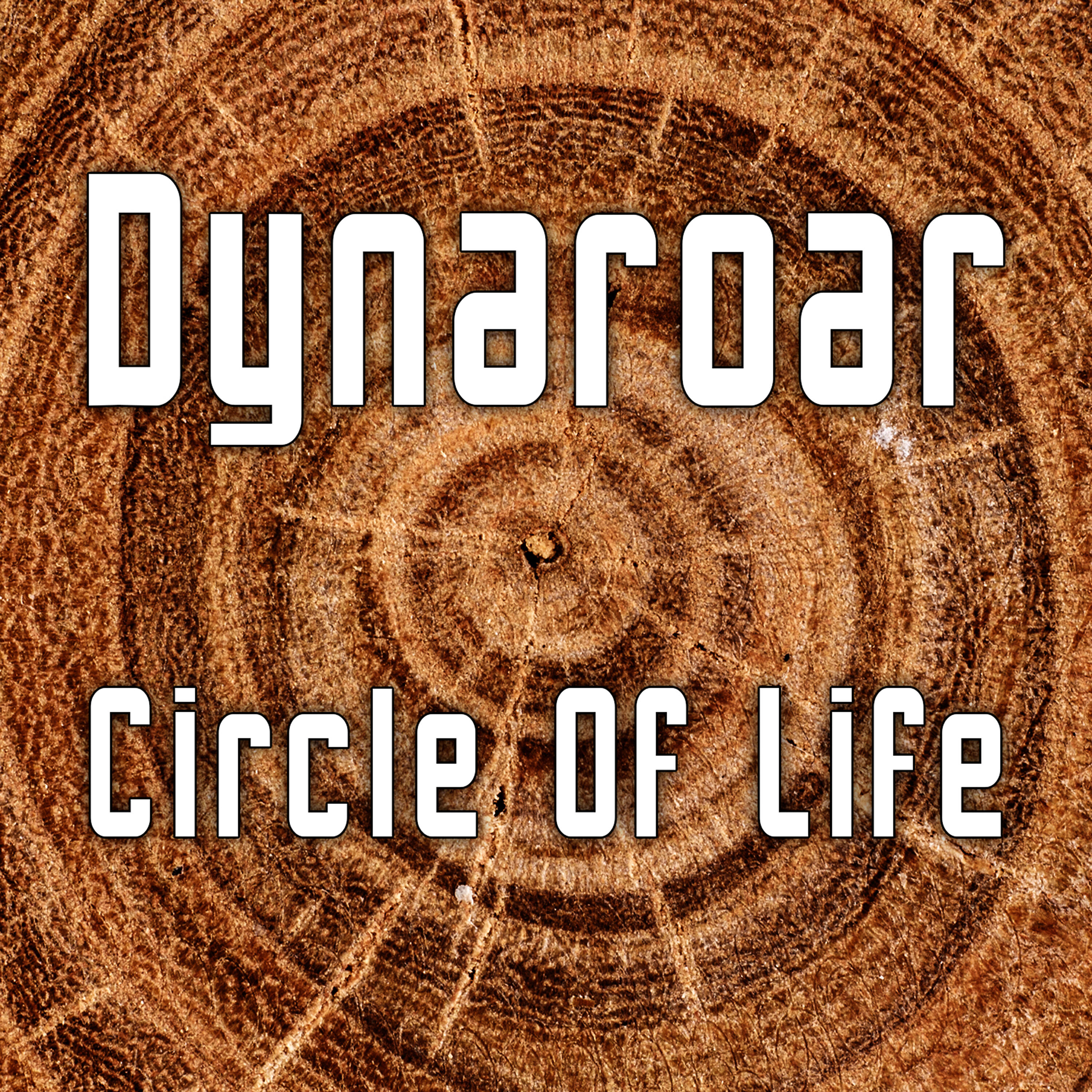 Релиз Circle of Life