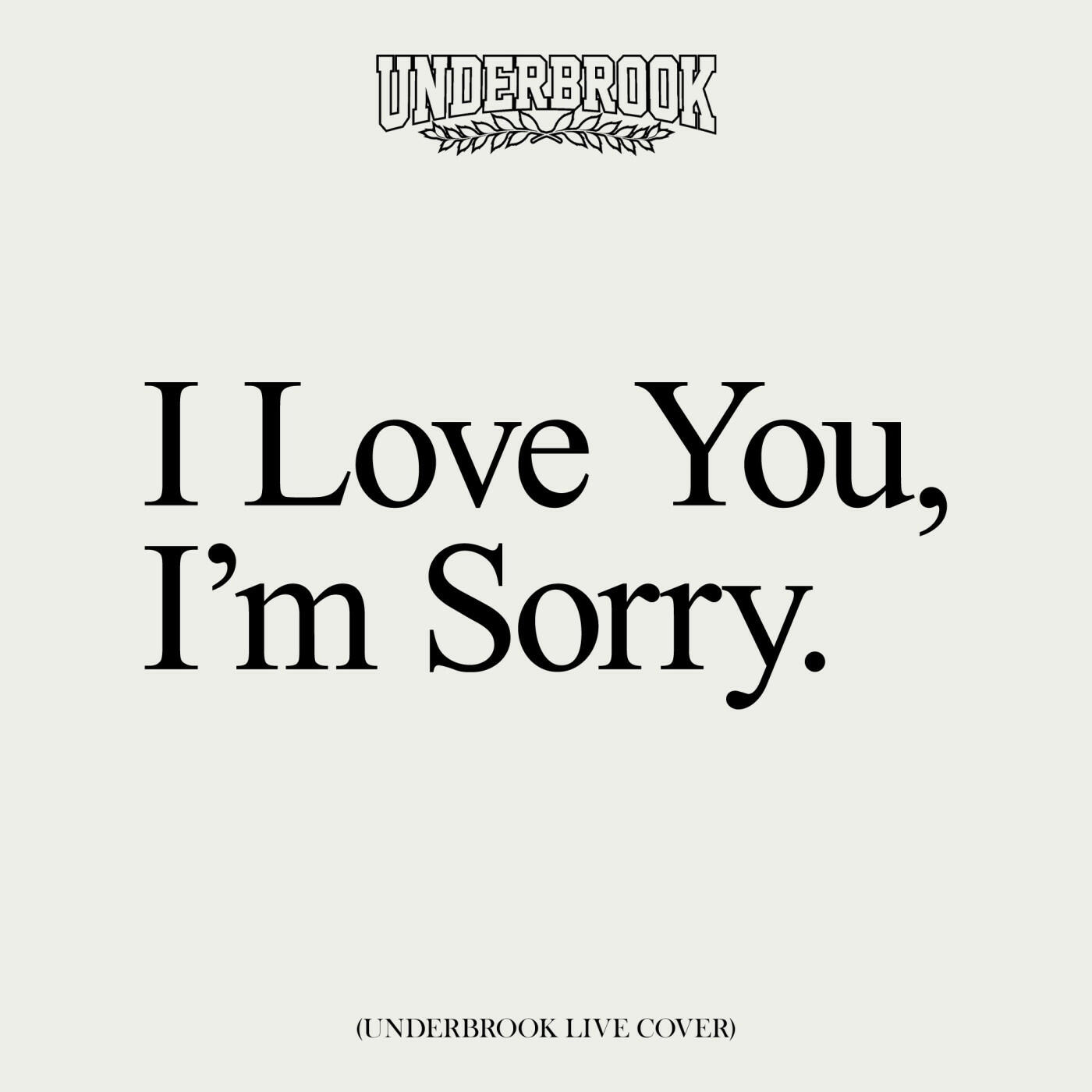 Релиз I Love You, I'm Sorry (Live Cover)