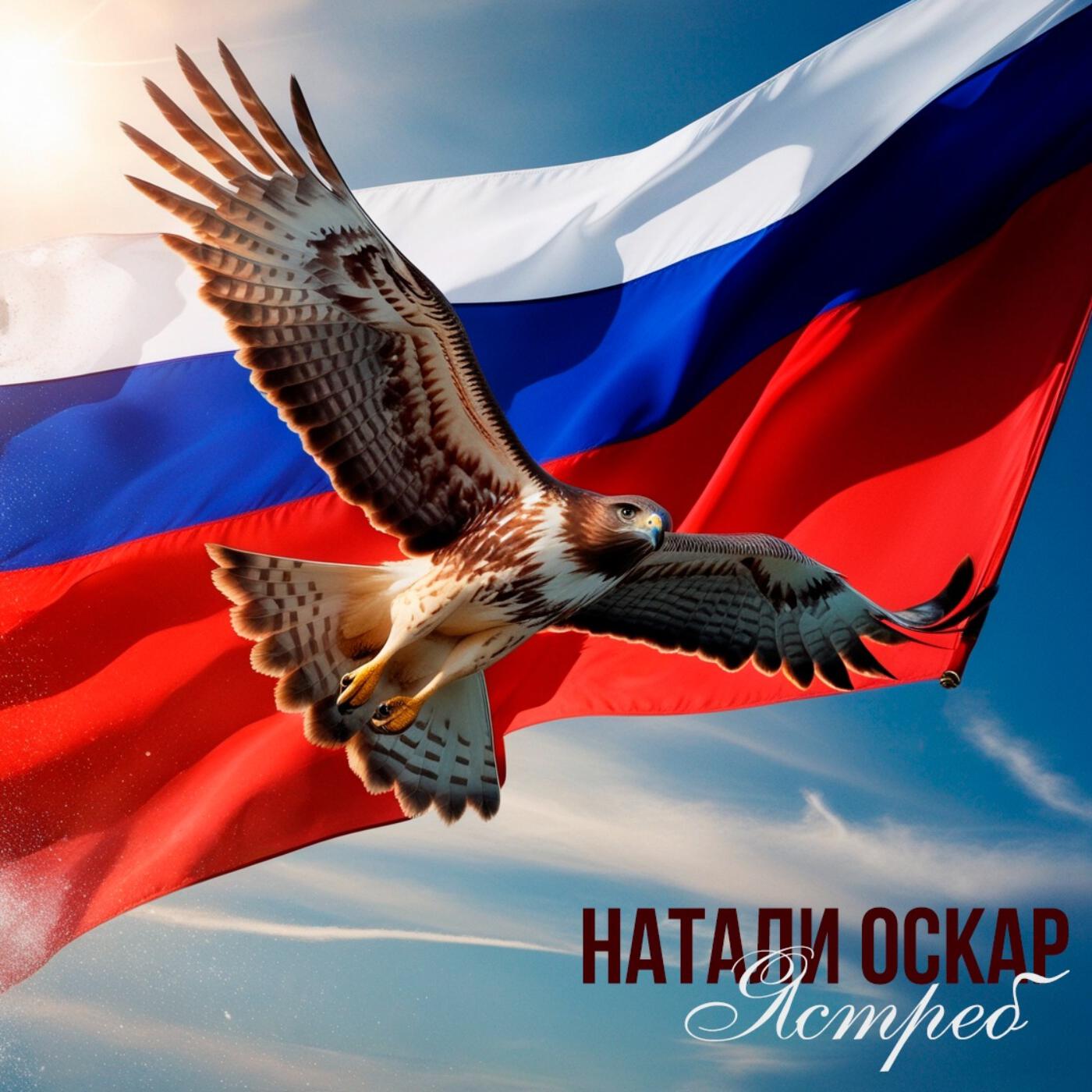 Постер альбома Ястреб