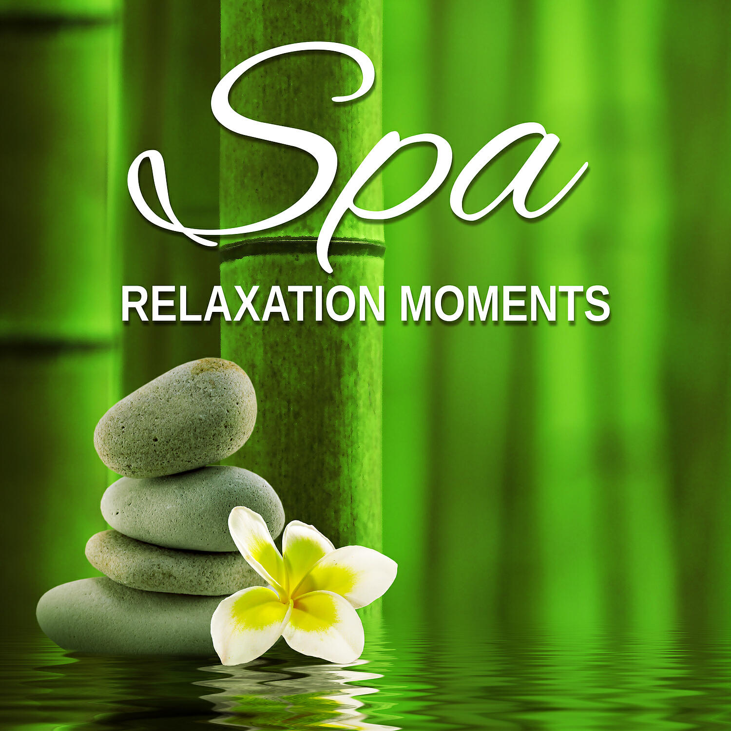 Релиз Spa Relaxation Moments - Therapeutic Spa Sessions, Total Comfort, Soothing Melodies