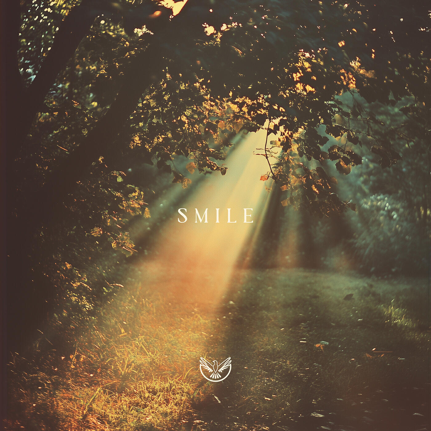 Релиз Smile