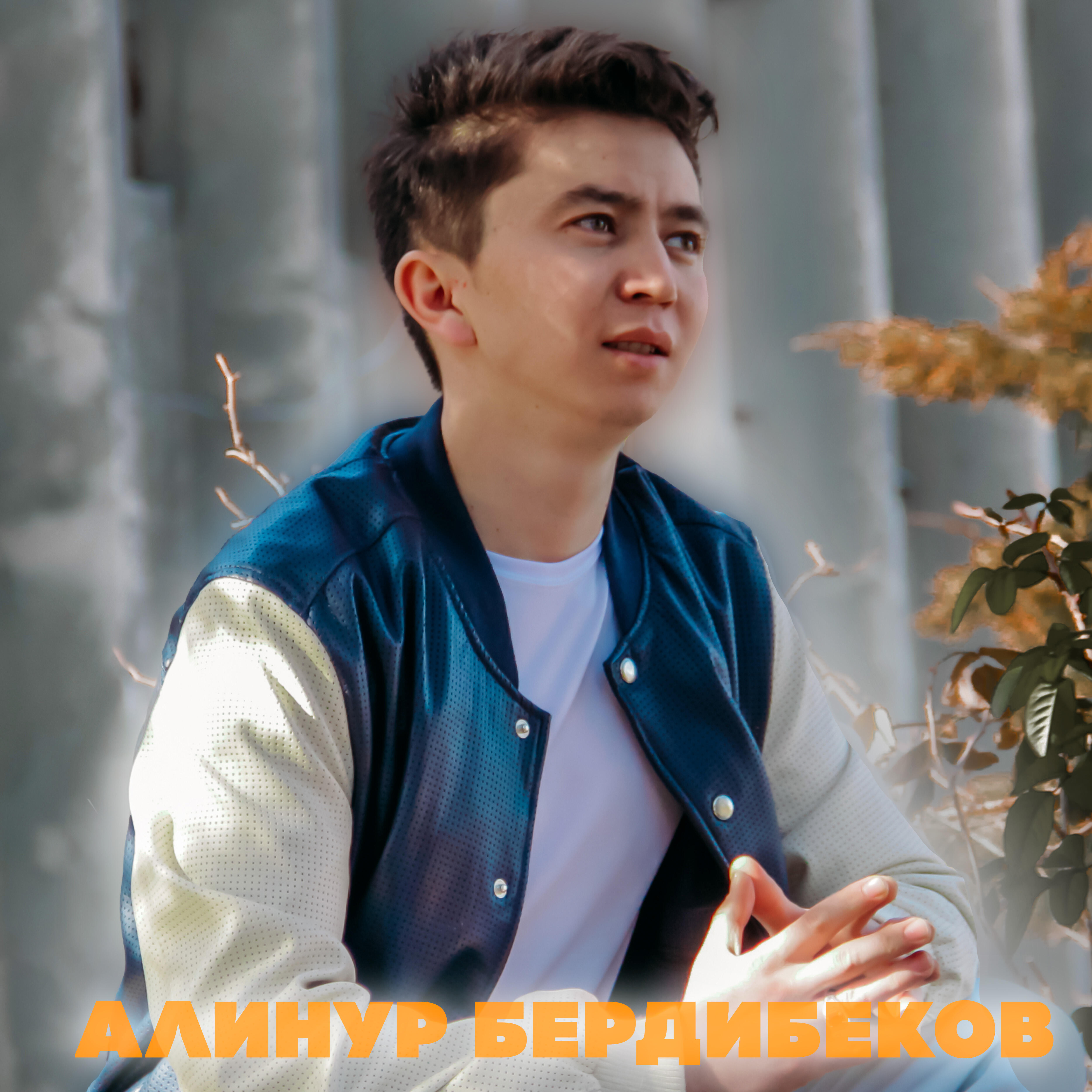 Алинур Бердибеков