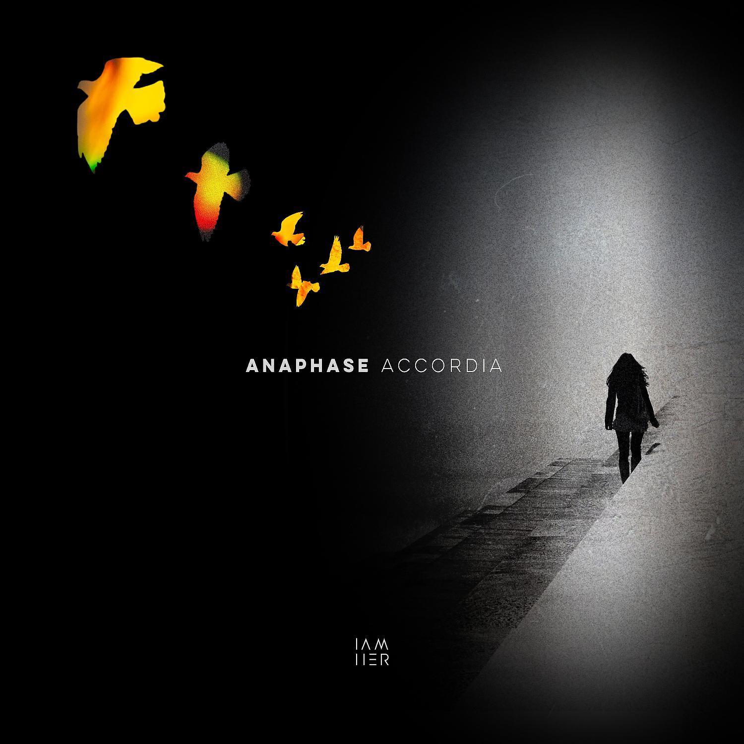 Anaphase