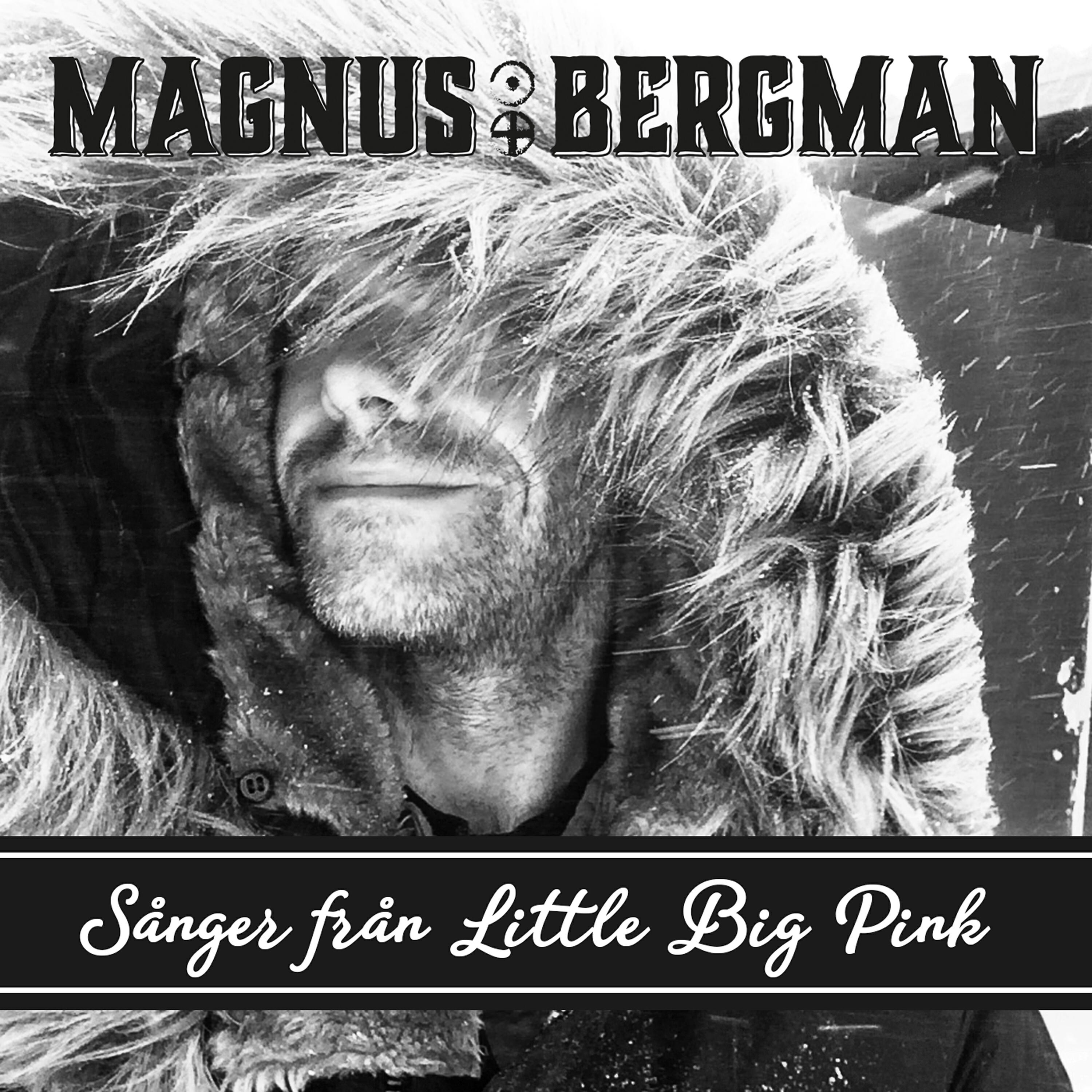 Релиз Sånger Från Little Big Pink