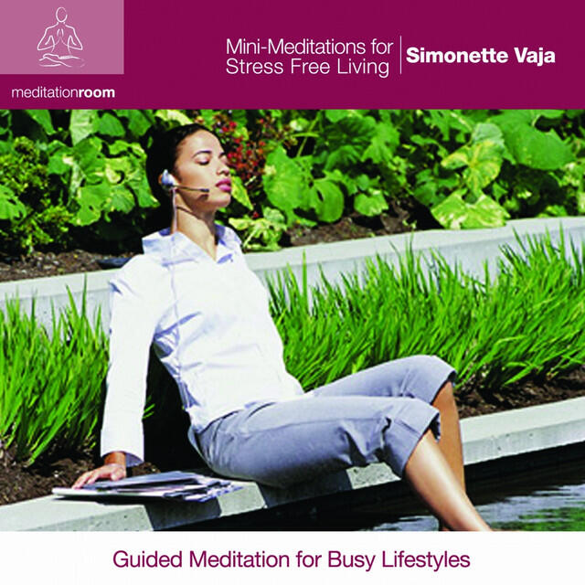 Релиз Mini-Meditations for Stress Free Living