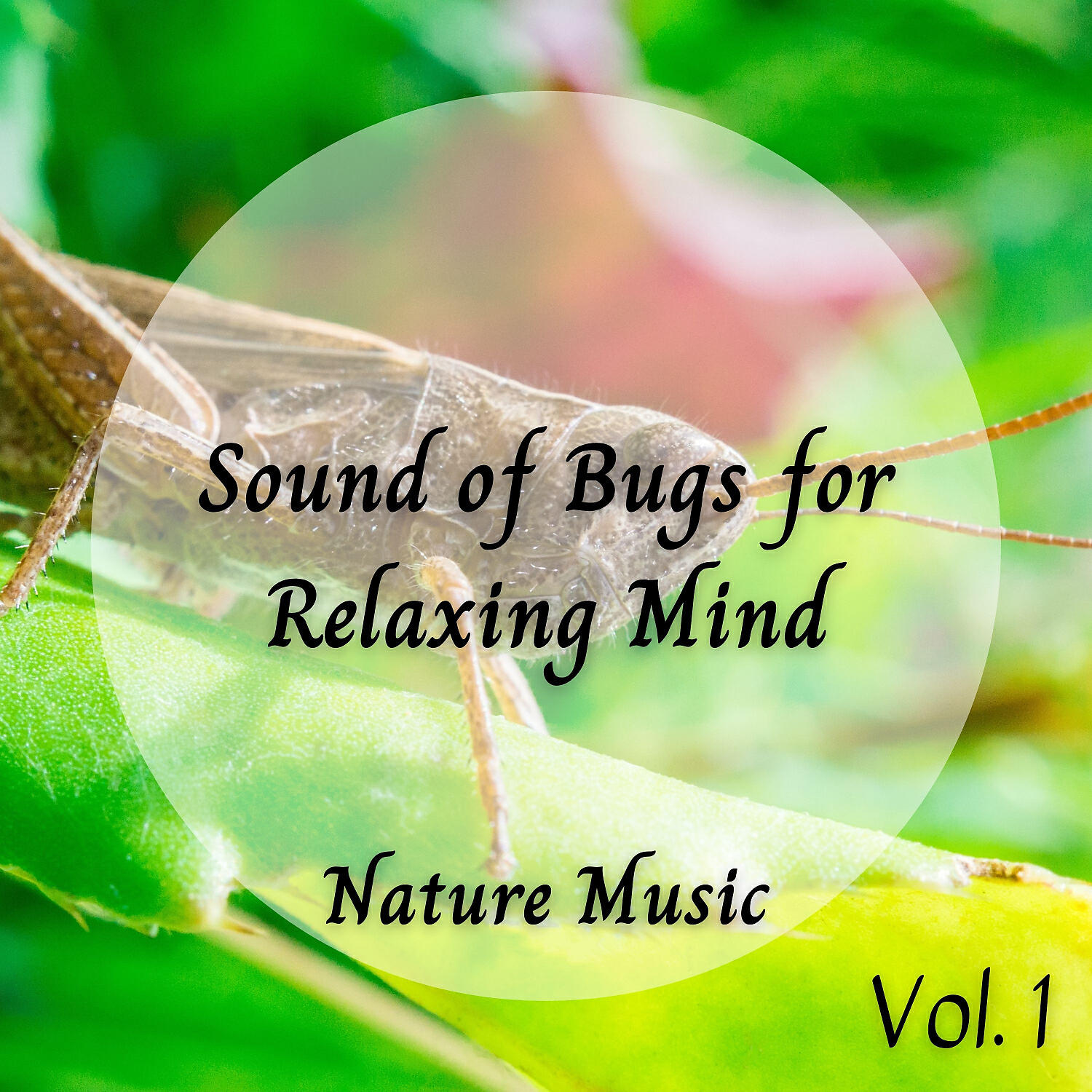 Релиз Nature Music: Sound of Bugs for Relaxing Mind Vol. 1