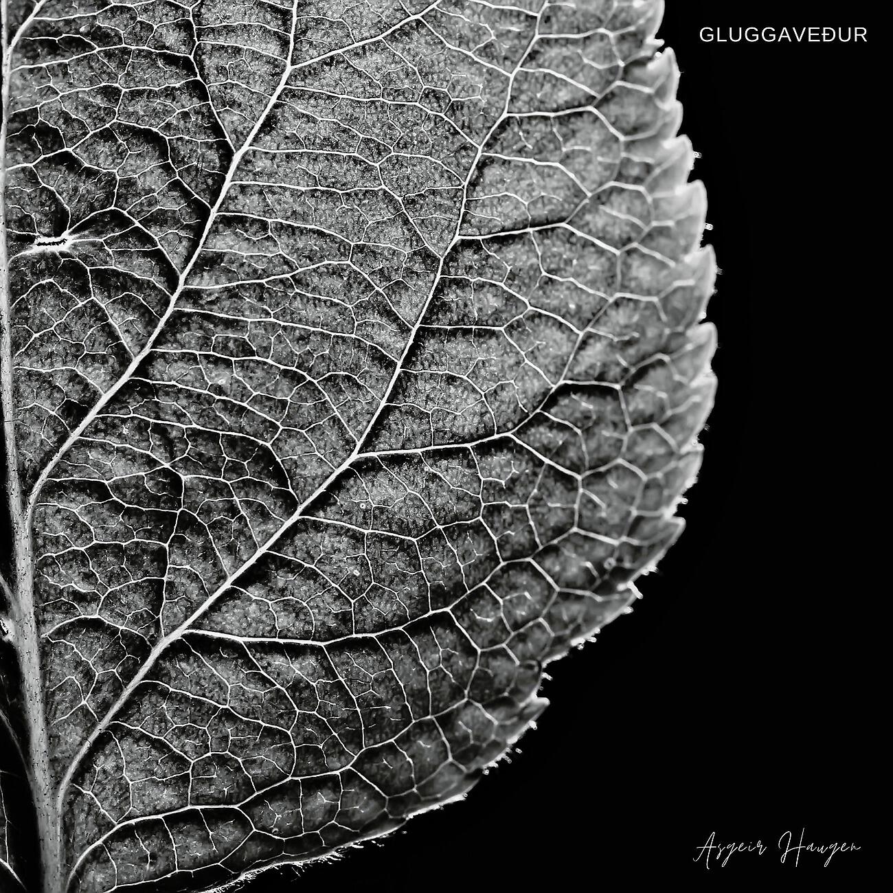 Релиз Gluggaveður