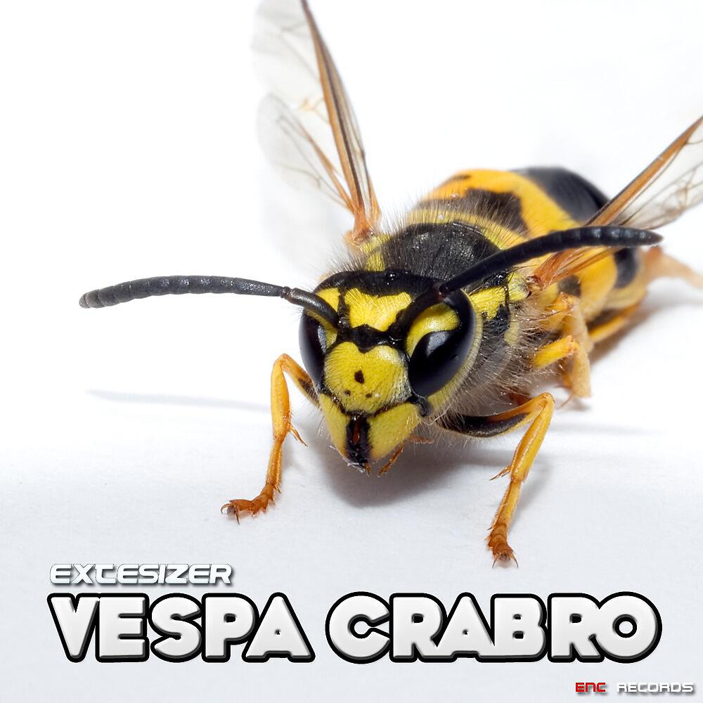 Релиз Vespa Crabro