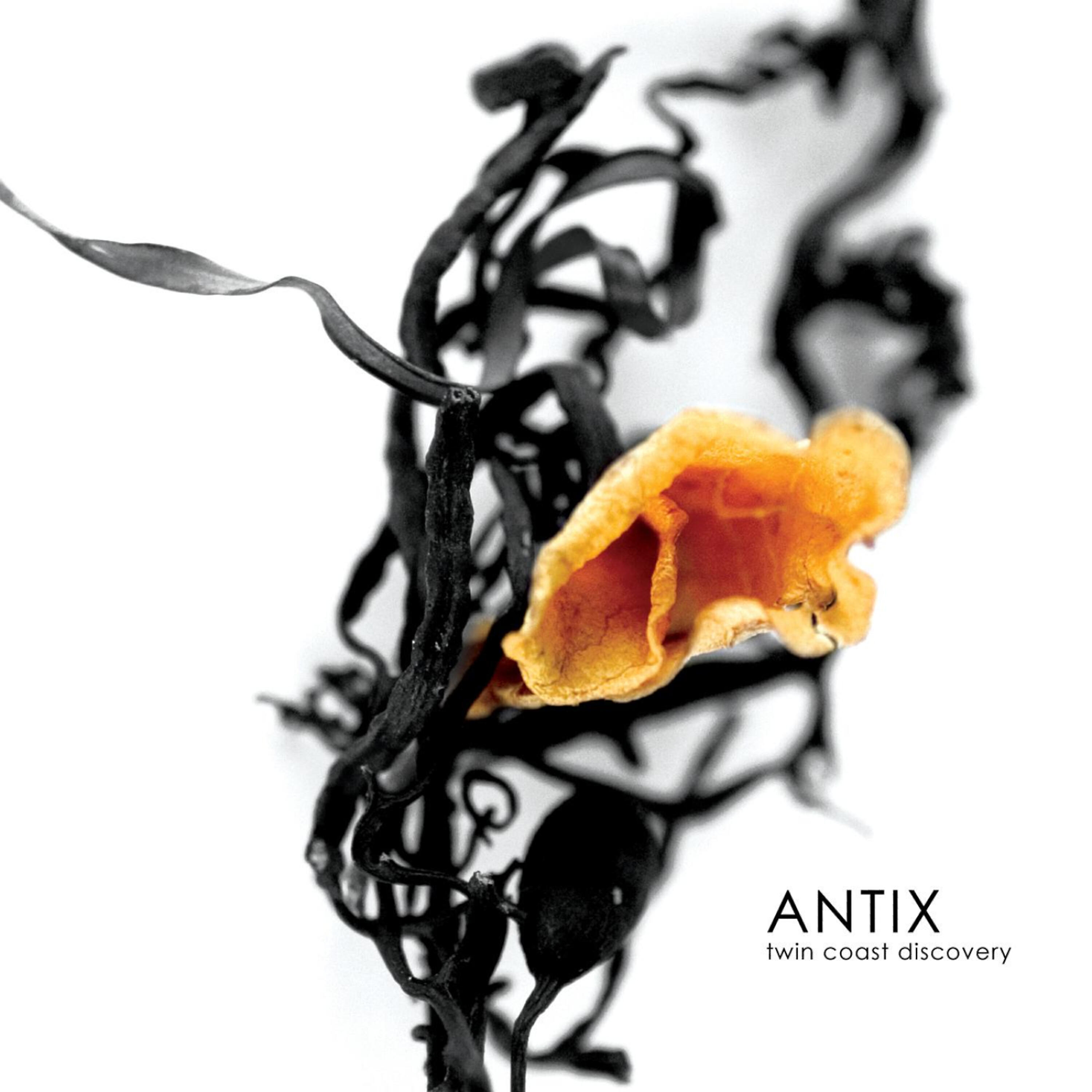 Скачать песню Antix - Quiet Is The New loud бесплатно в MP3 для Android и iOS