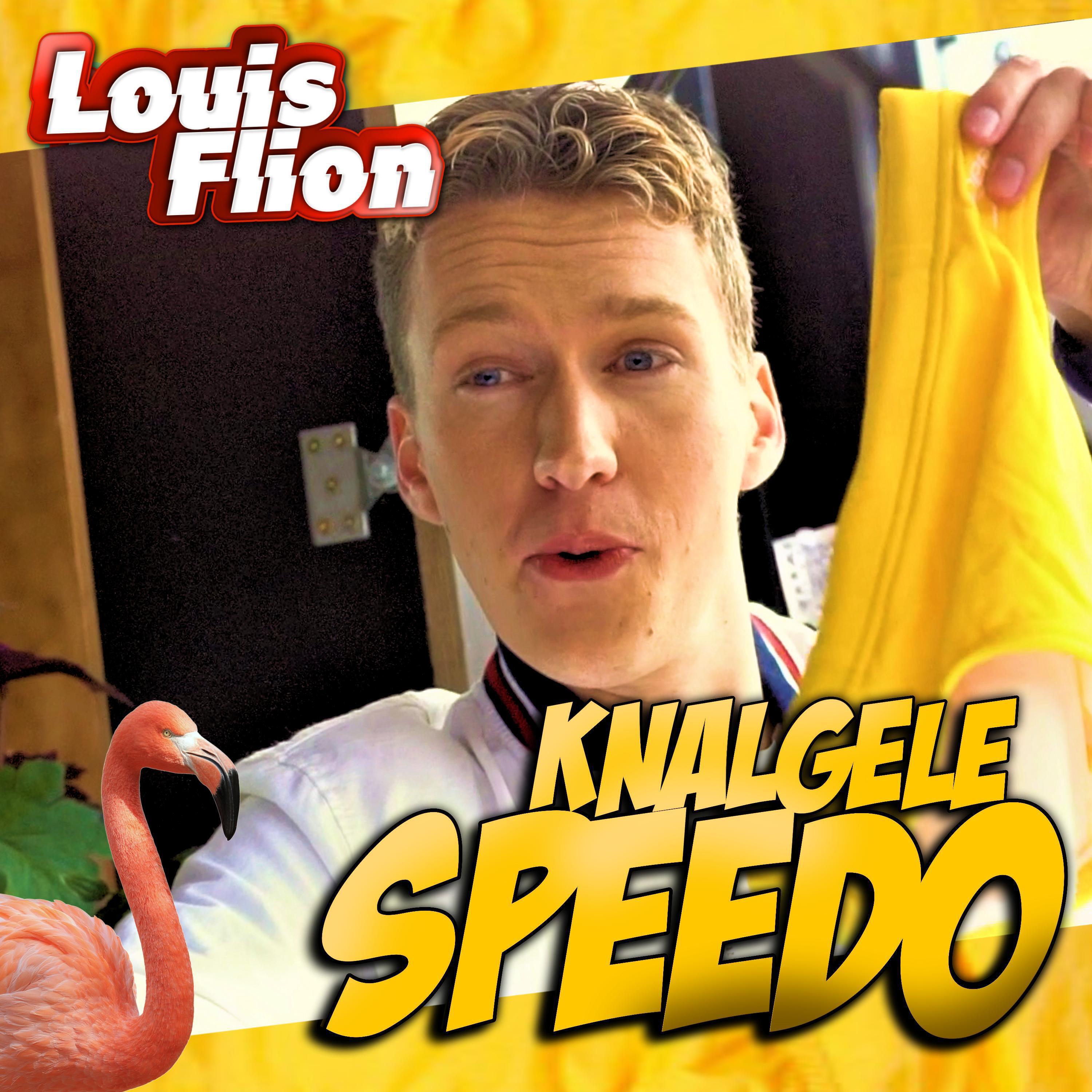 Релиз Knalgele Speedo