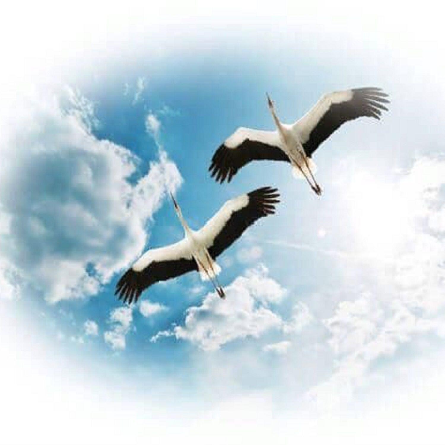 Евгений Бардаков